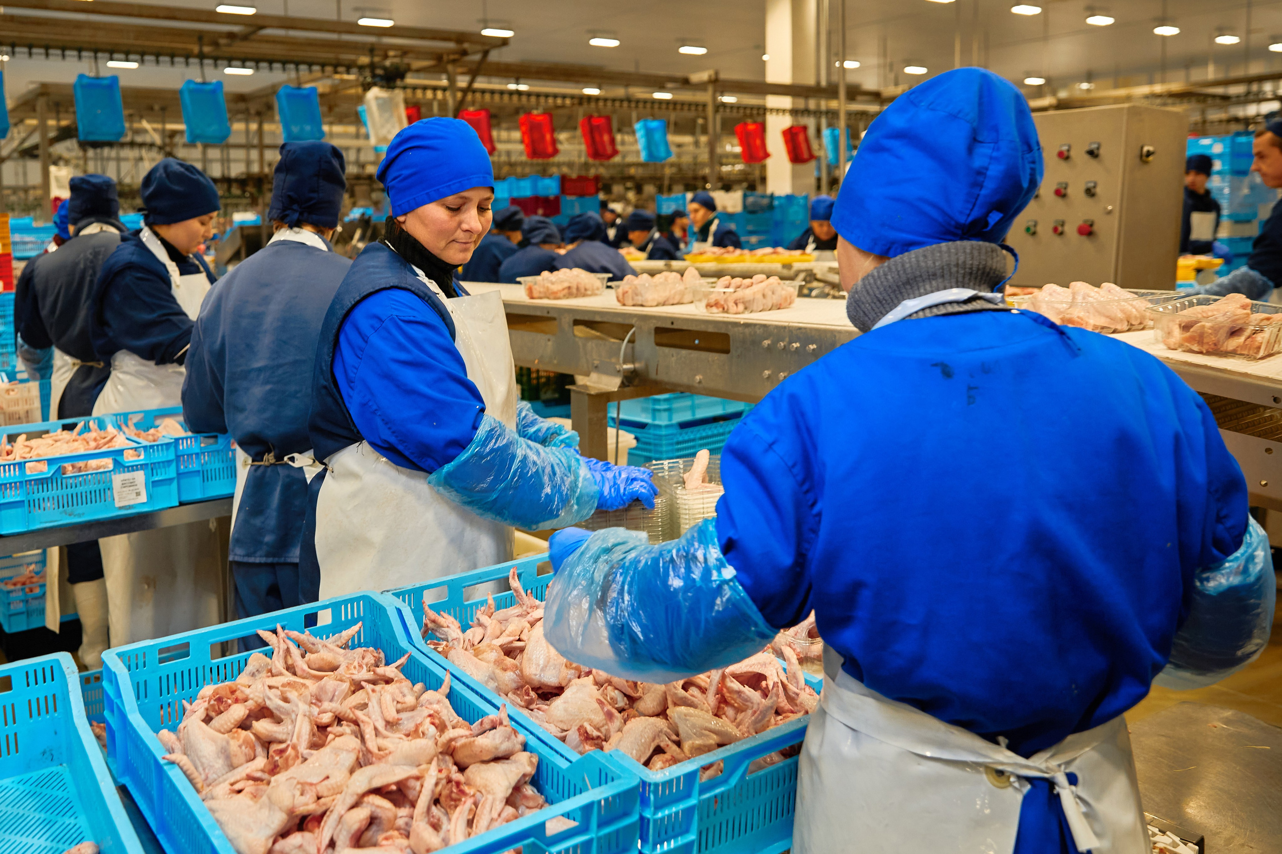 Якісна Контентна Фотосесія (Дніпро) АГПК Дніпровський