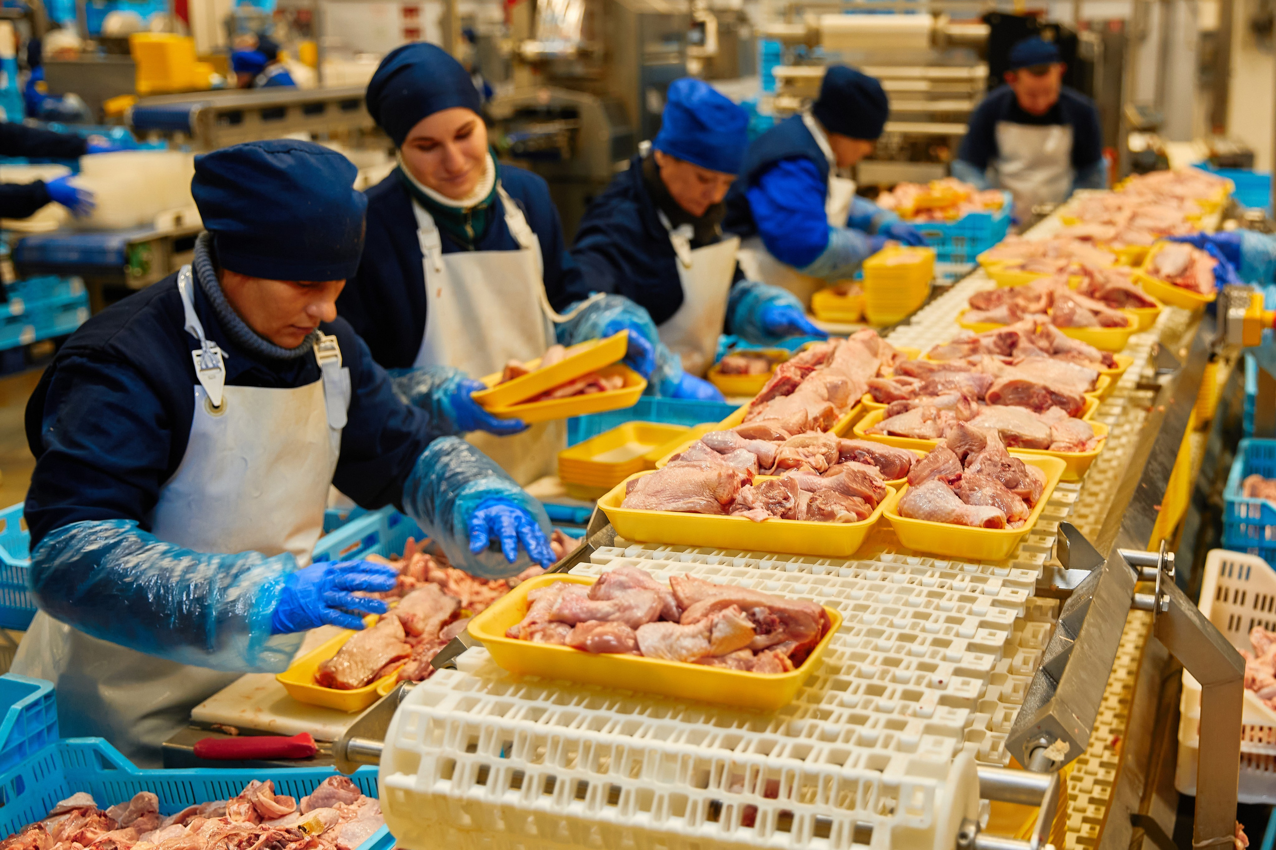 Комплексна фотосессія для товарів для AMAZONE