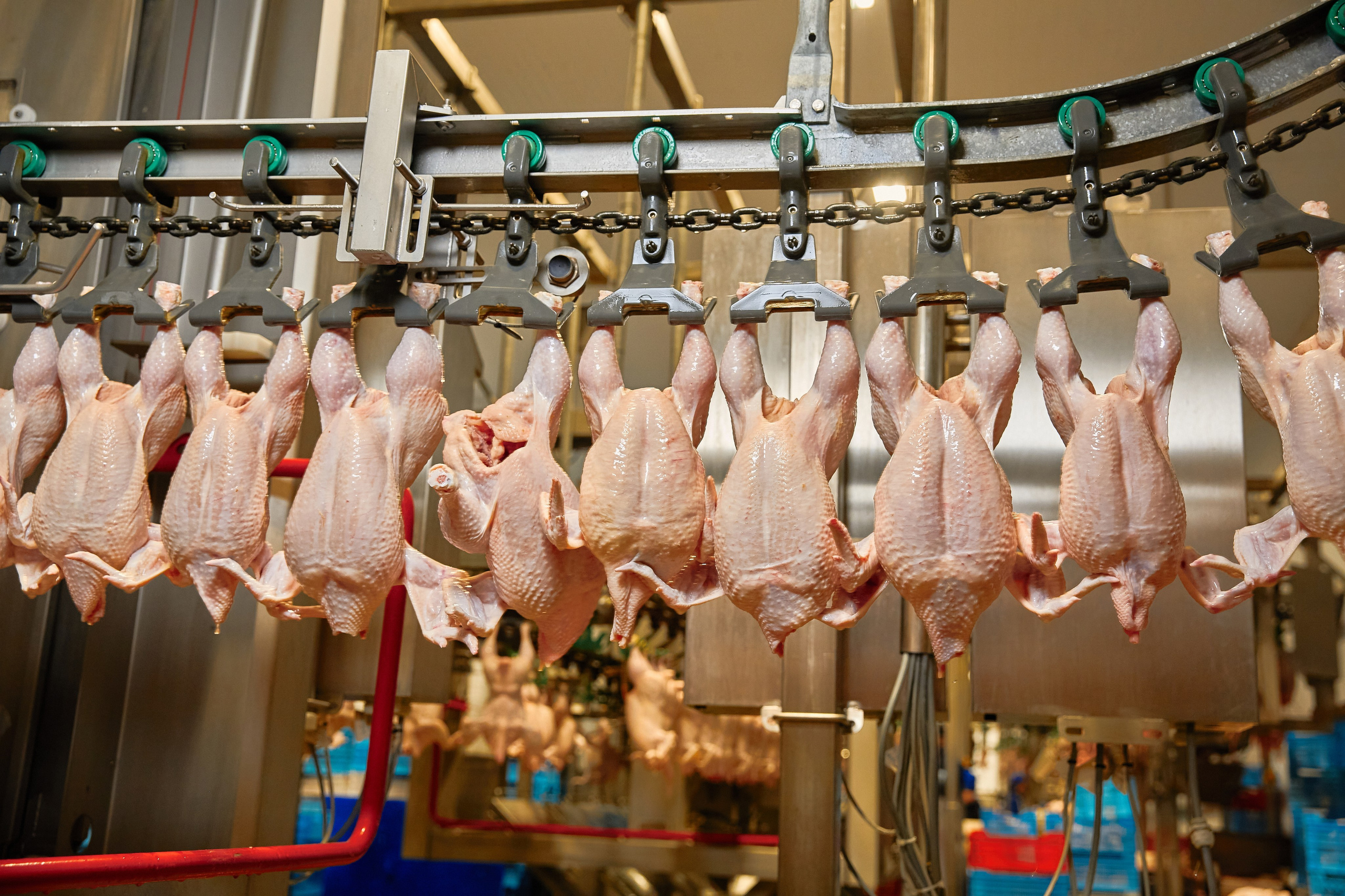 Комплексна фотосессія для товарів для AMAZONE