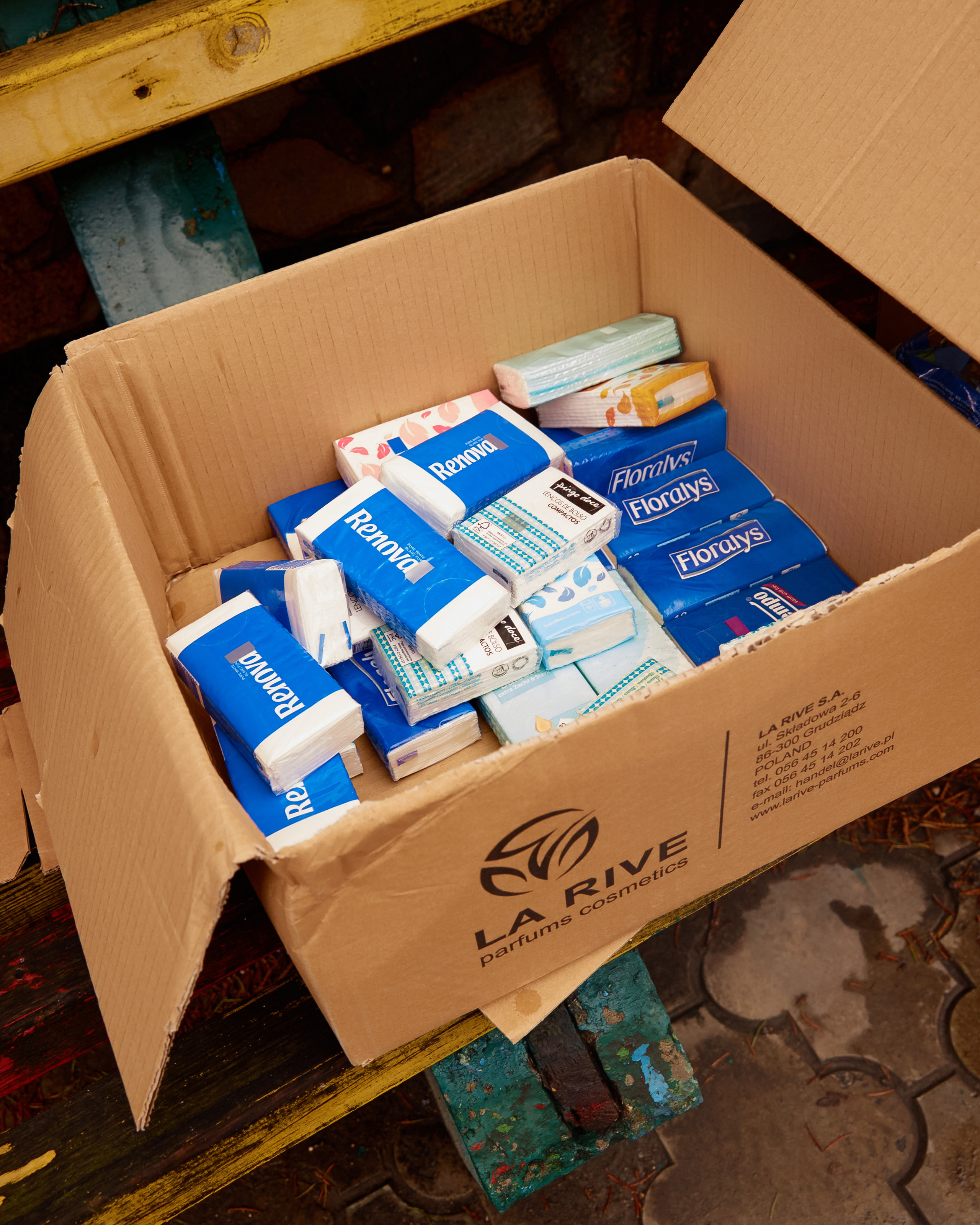 Волонтерський рух