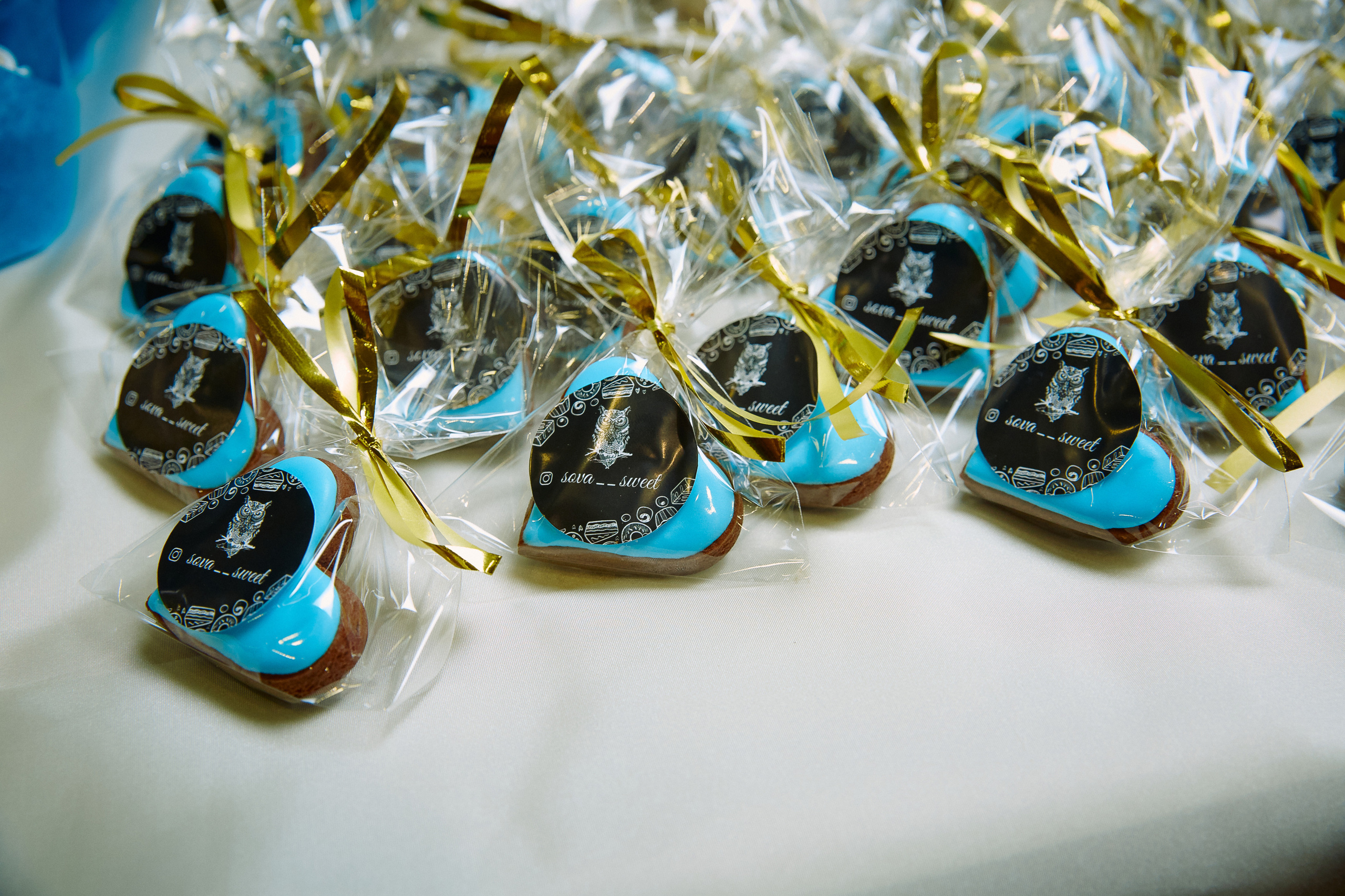 Репортажна зйомка(Дніпро) День нарождення модельної агенції The Models