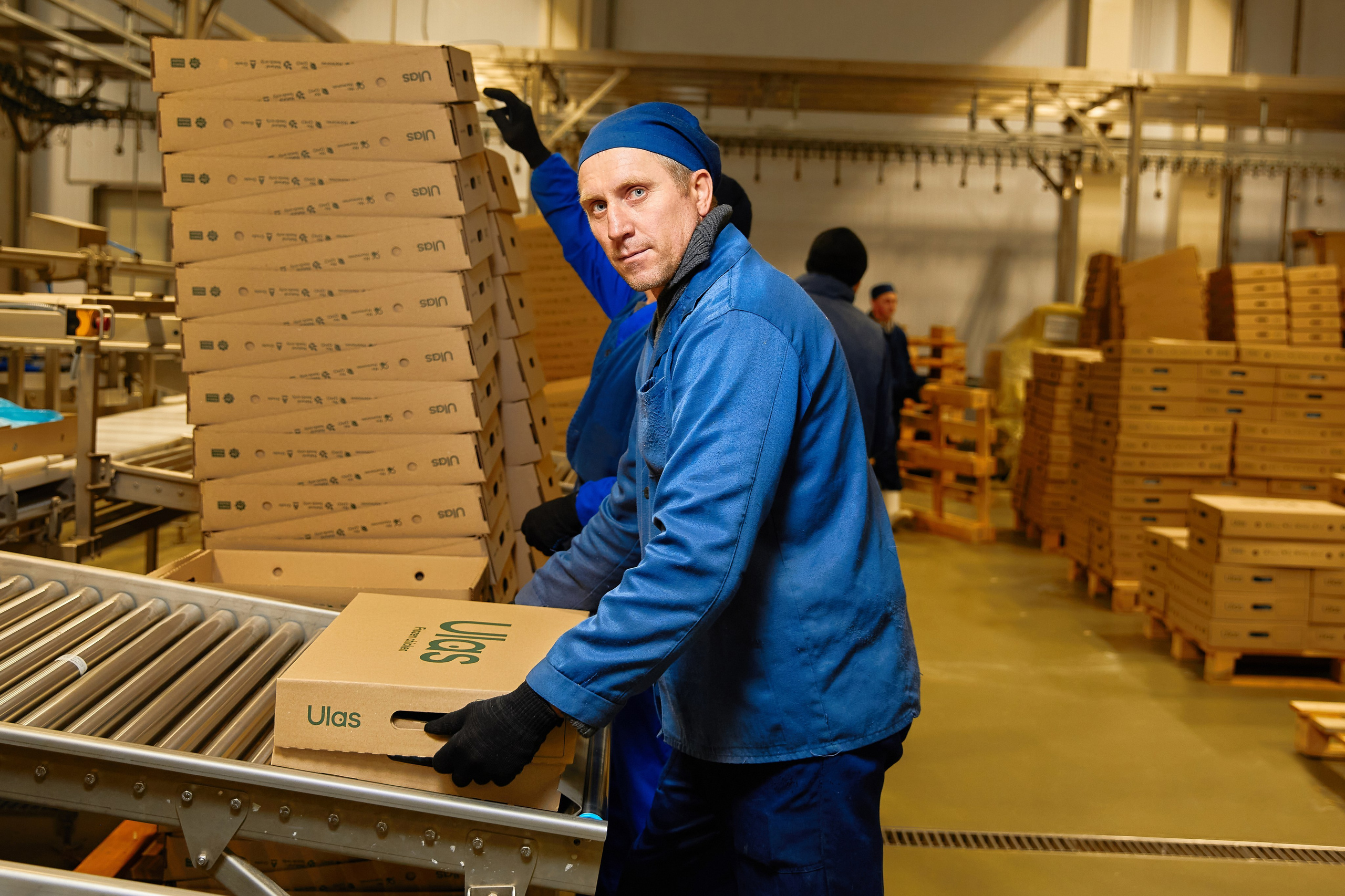 Комплексна фотосессія для товарів для AMAZONE