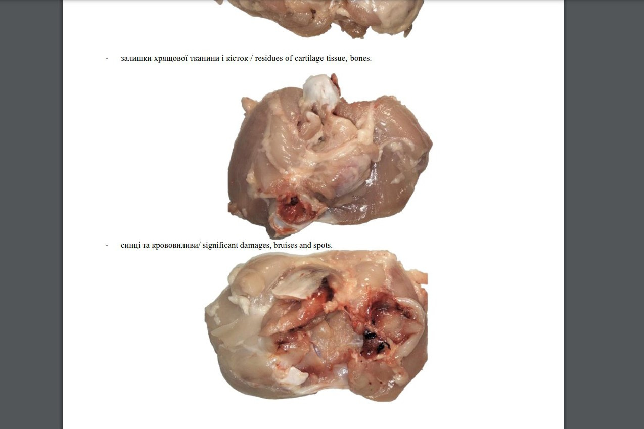 Комплексна фотосесія для птахокомплексу «Дніпровський» (1)
