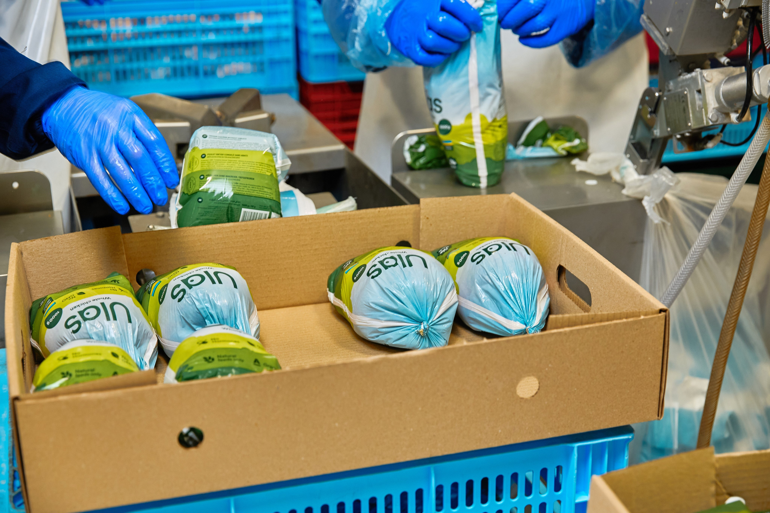 Комплексна фотосессія для товарів для AMAZONE