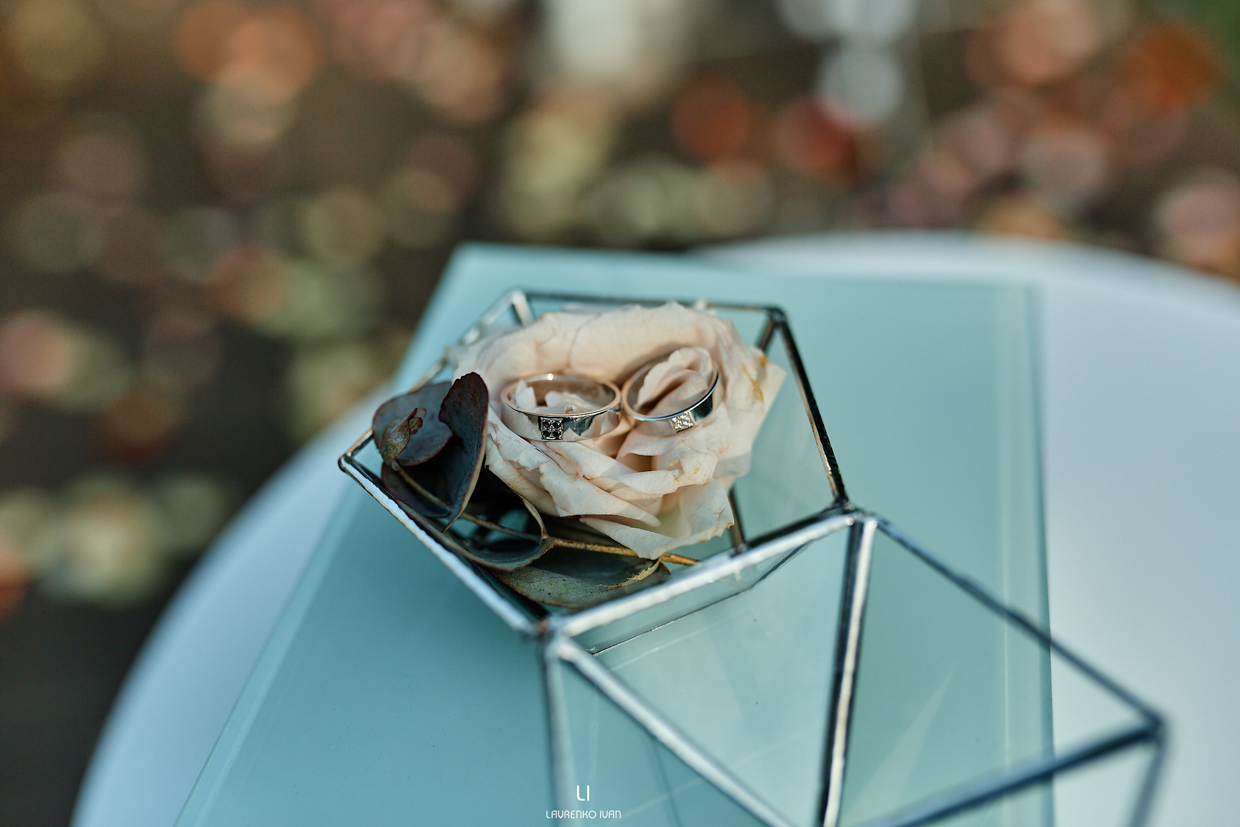 Свадебная Фотосессия (Днепр) Елены та Виталия