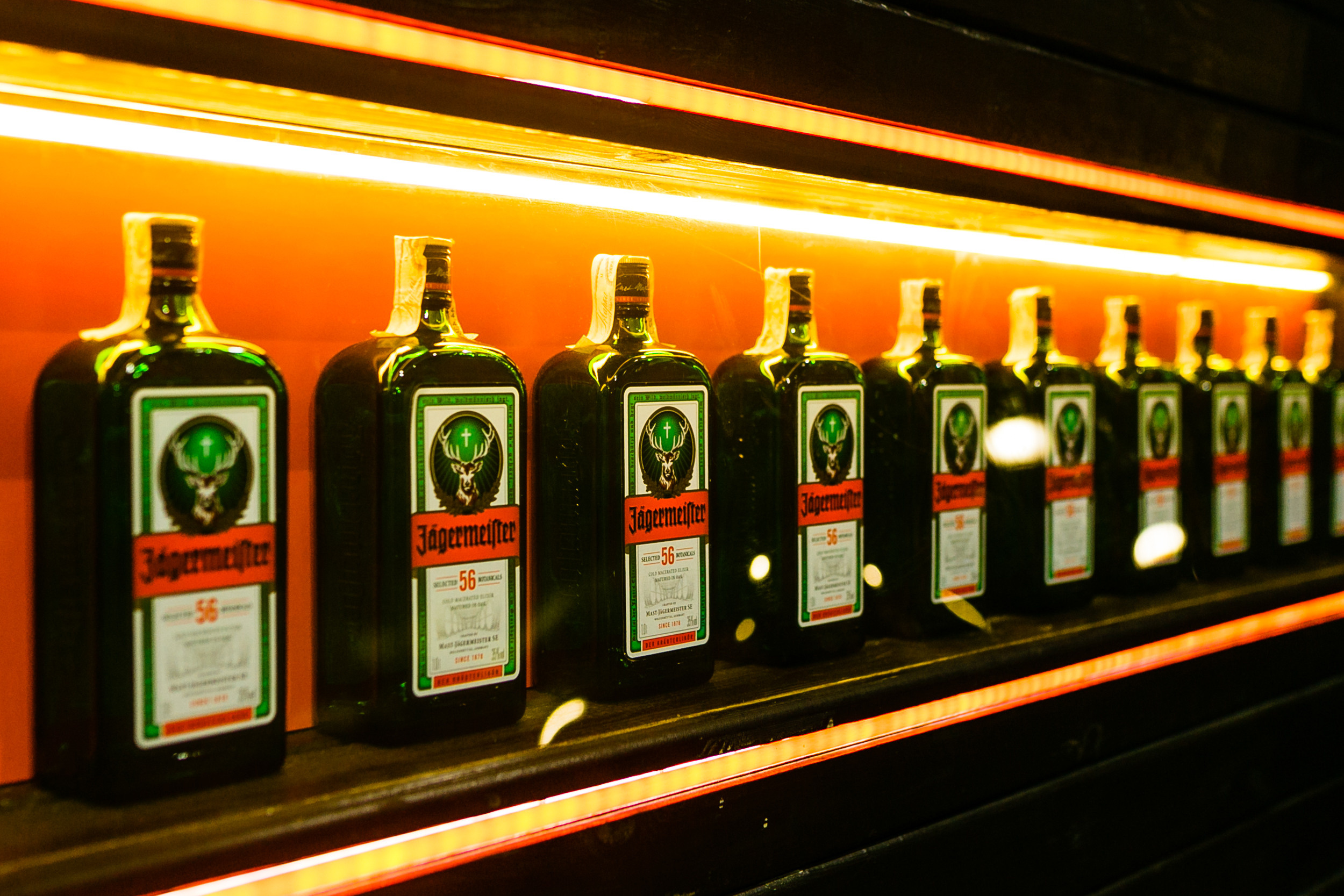 Фото спортивных событий Днепр. Ночные катания Лавина Днепр