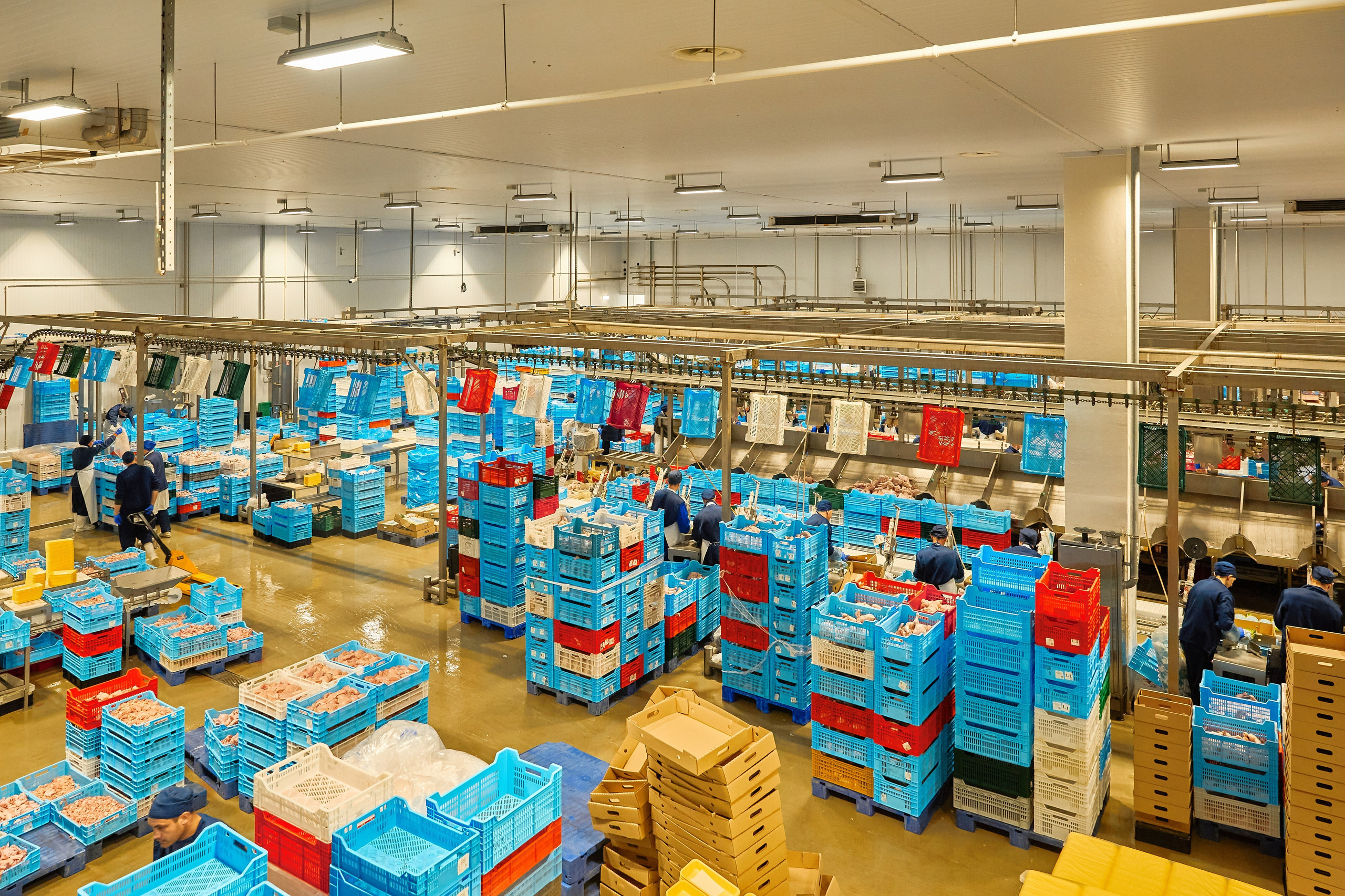 Комплексна фотосессія для товарів для AMAZONE