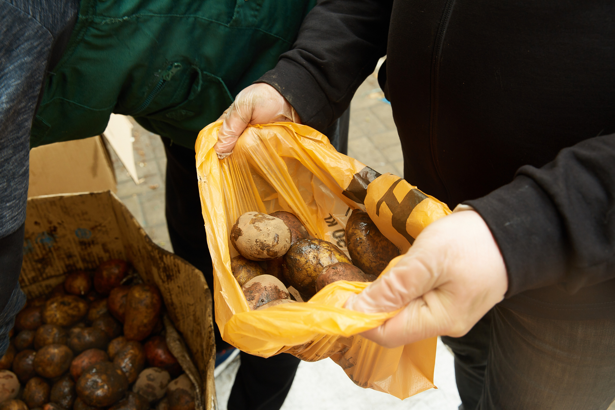 Волонтерський рух