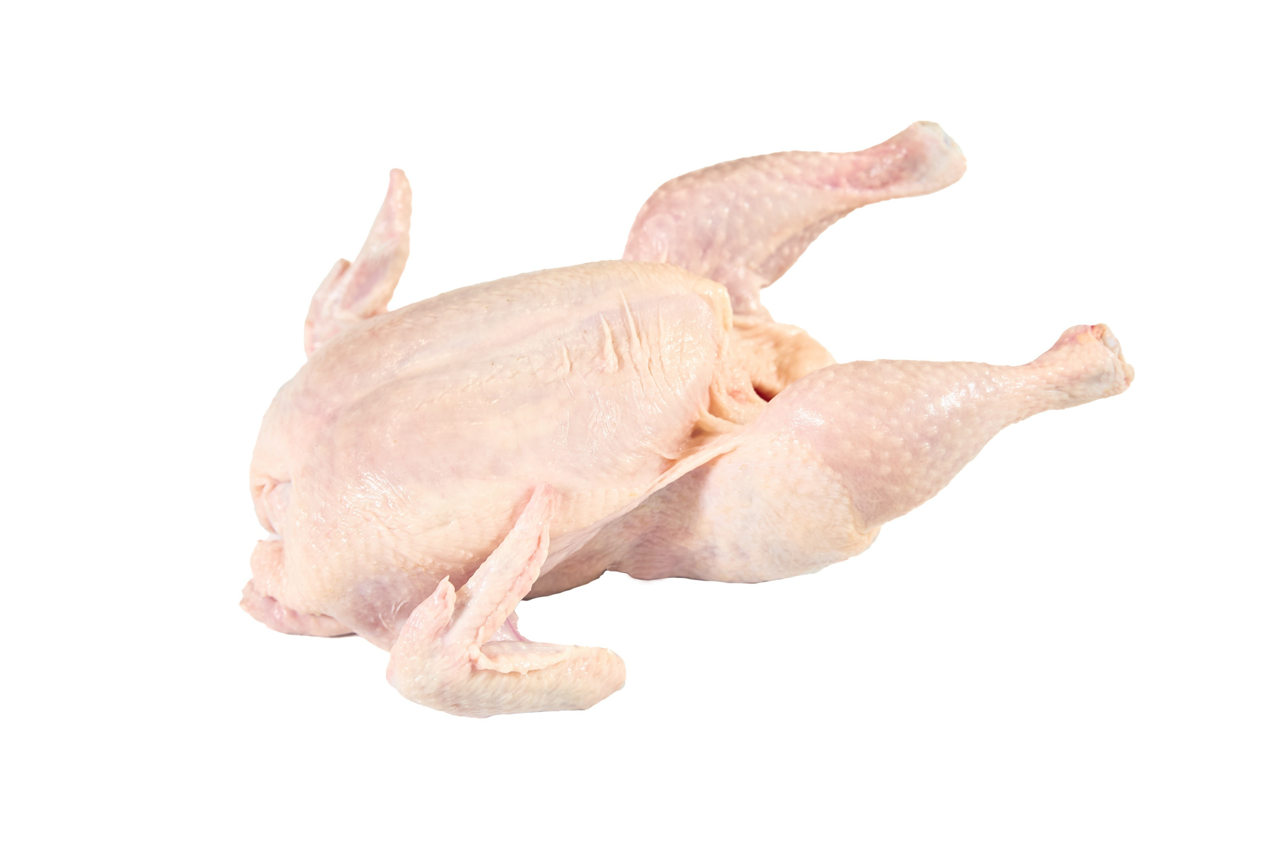 Комплексна фотосессія для товарів для AMAZONE