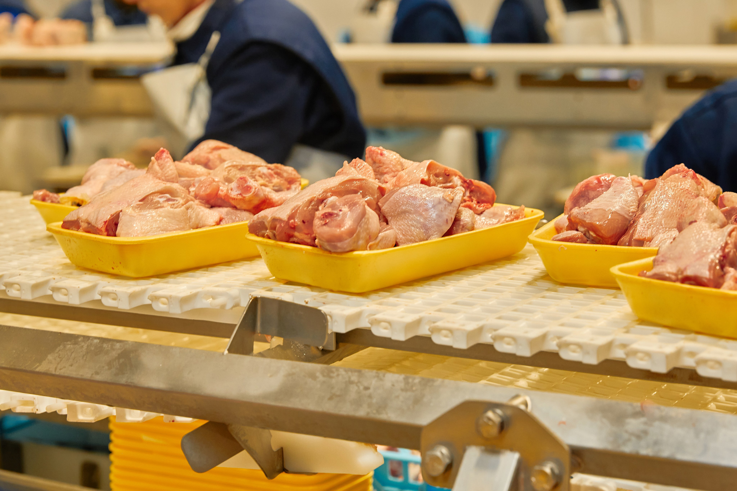 Якісна Контентна Фотосесія (Дніпро) АГПК Дніпровський