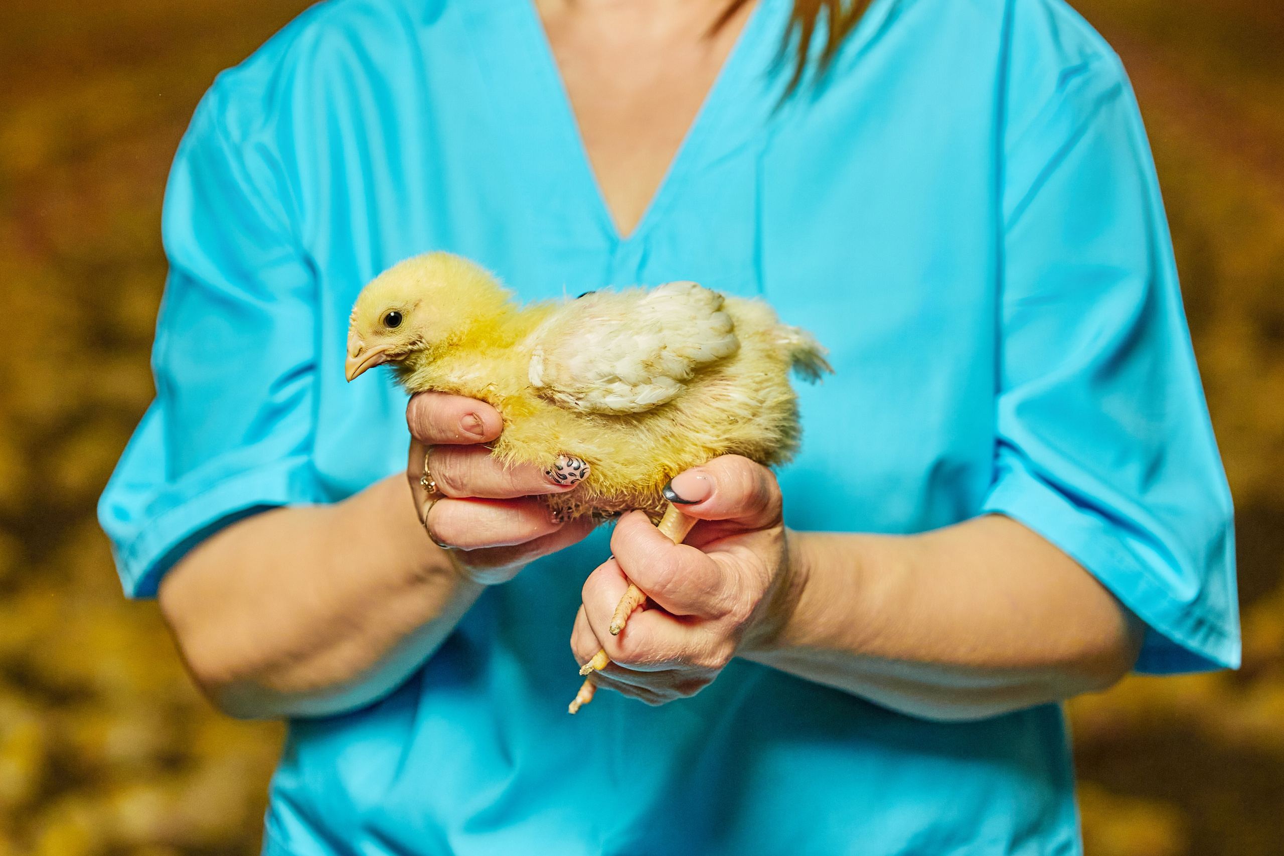 Якісна Контентна Фотосесія (Дніпро) АГПК Дніпровський