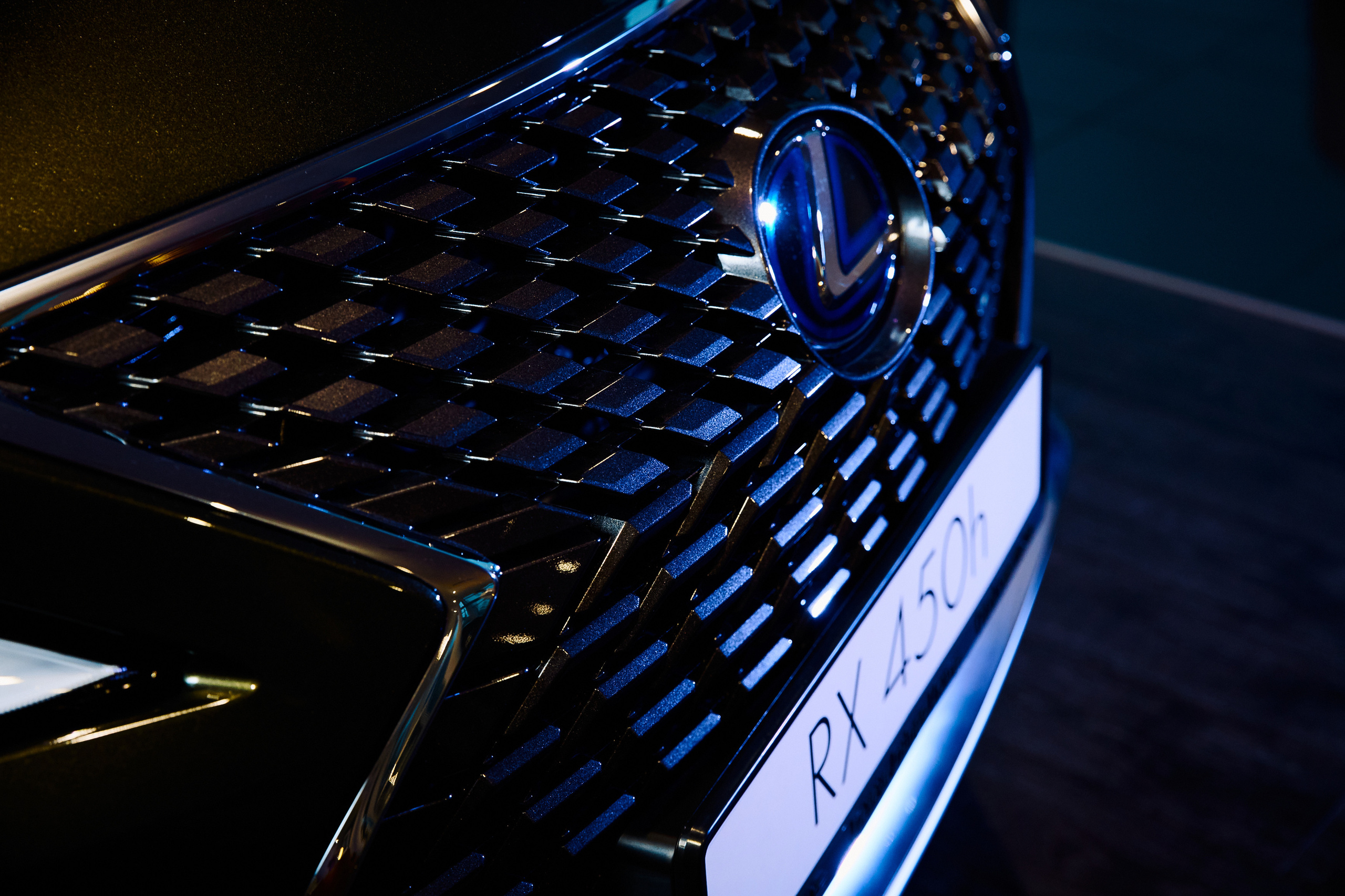 Репортажна зйомка(Дніпро) День нарождення модельної агенції The Models