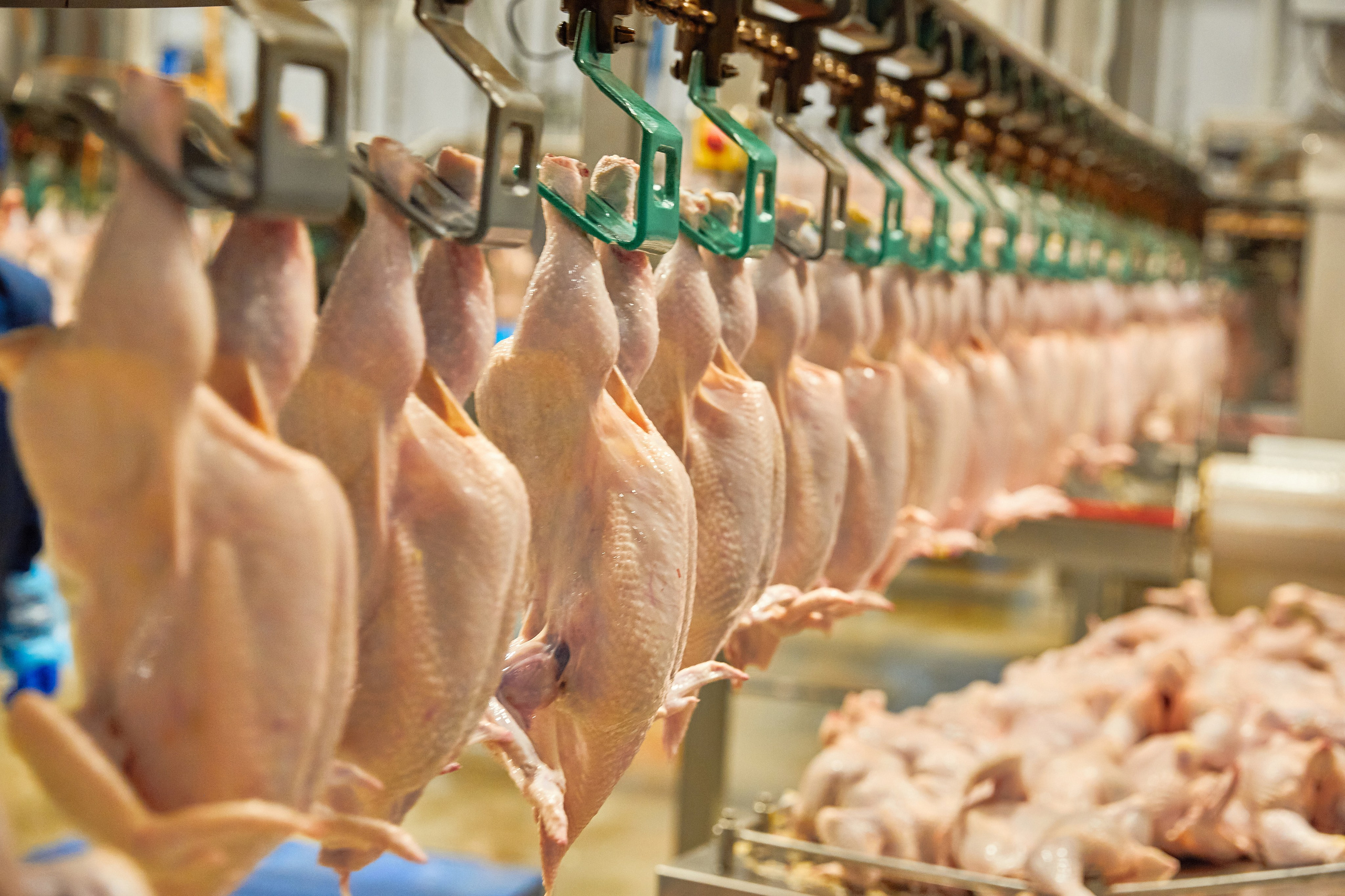 Якісна Контентна Фотосесія (Дніпро) АГПК Дніпровський