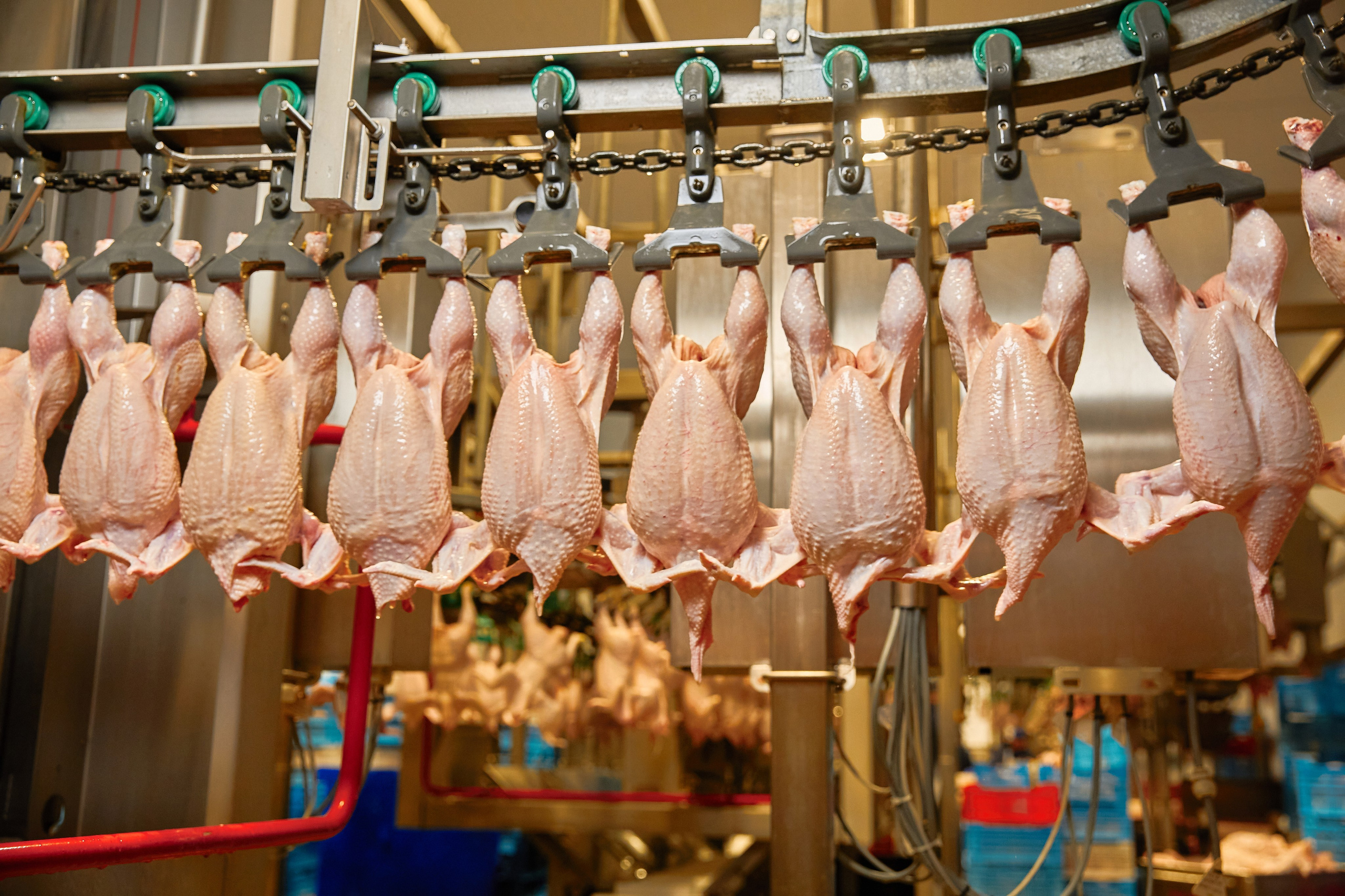 Комплексна фотосессія для товарів для AMAZONE