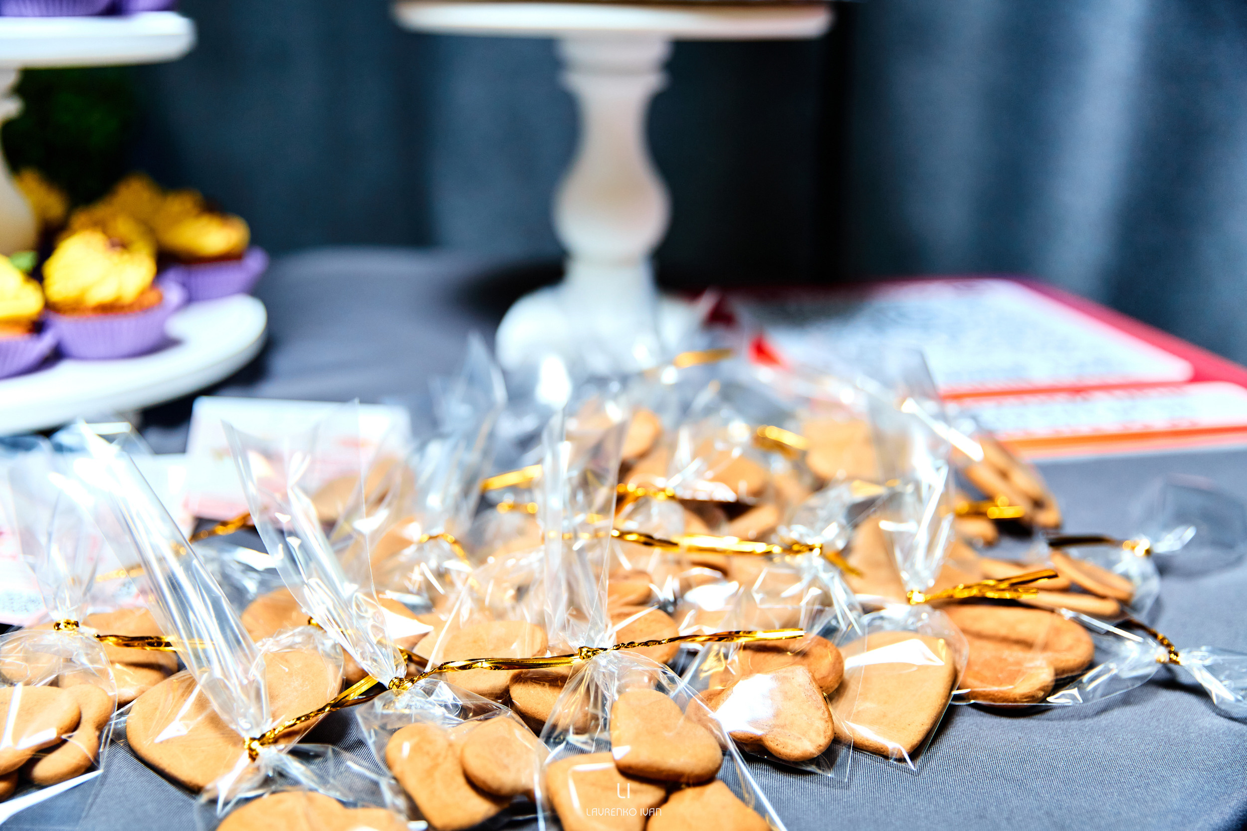 Репортажна зйомка(Дніпро) Вечірки ведучих