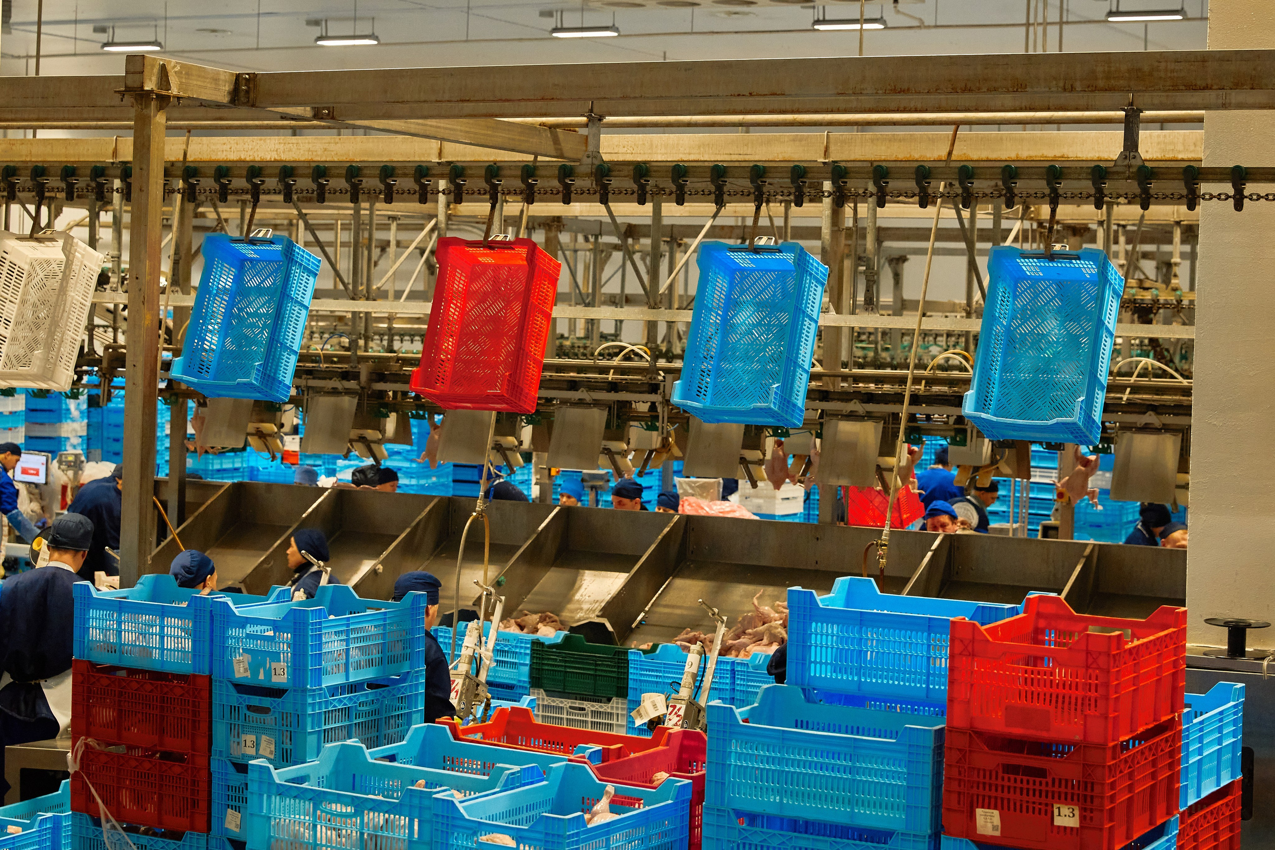 Комплексна фотосессія для товарів для AMAZONE