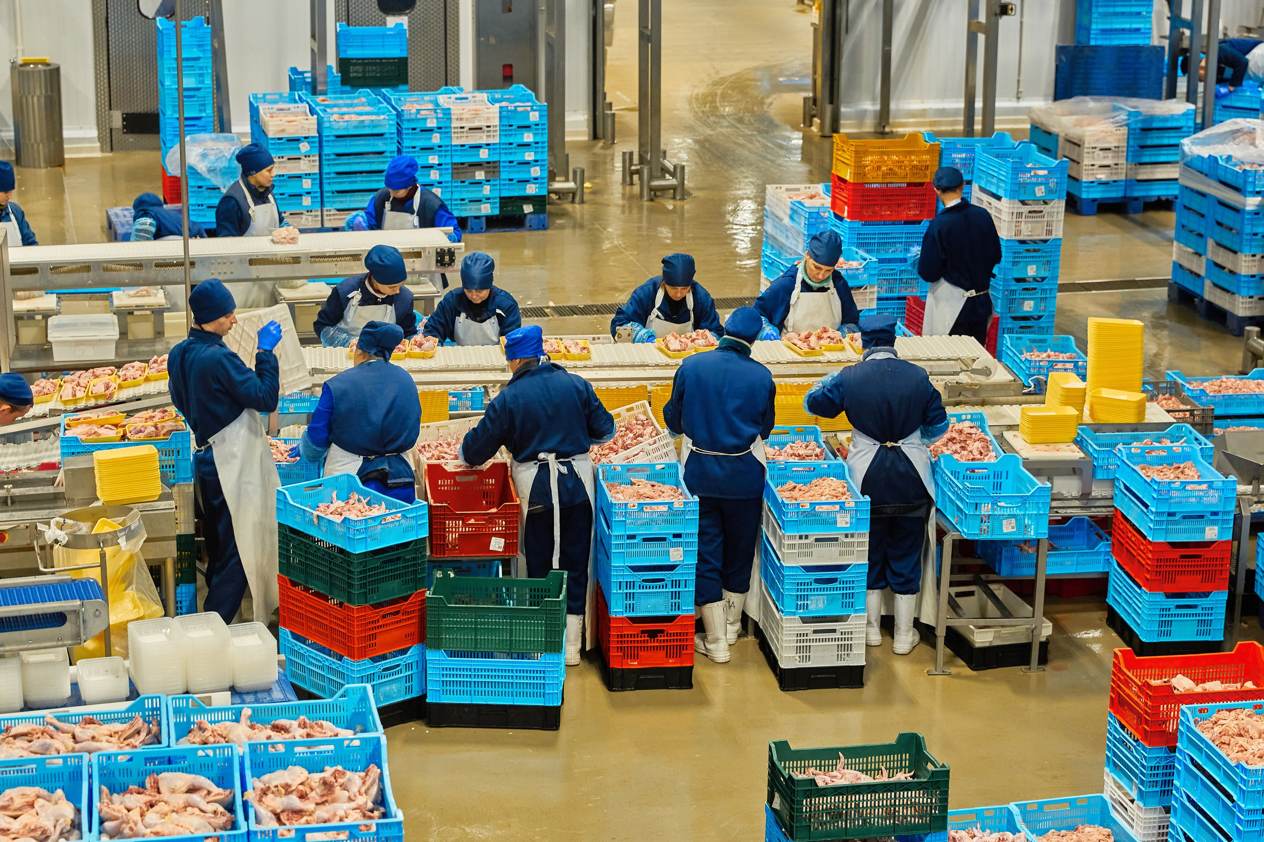 Комплексна фотосессія для товарів для AMAZONE