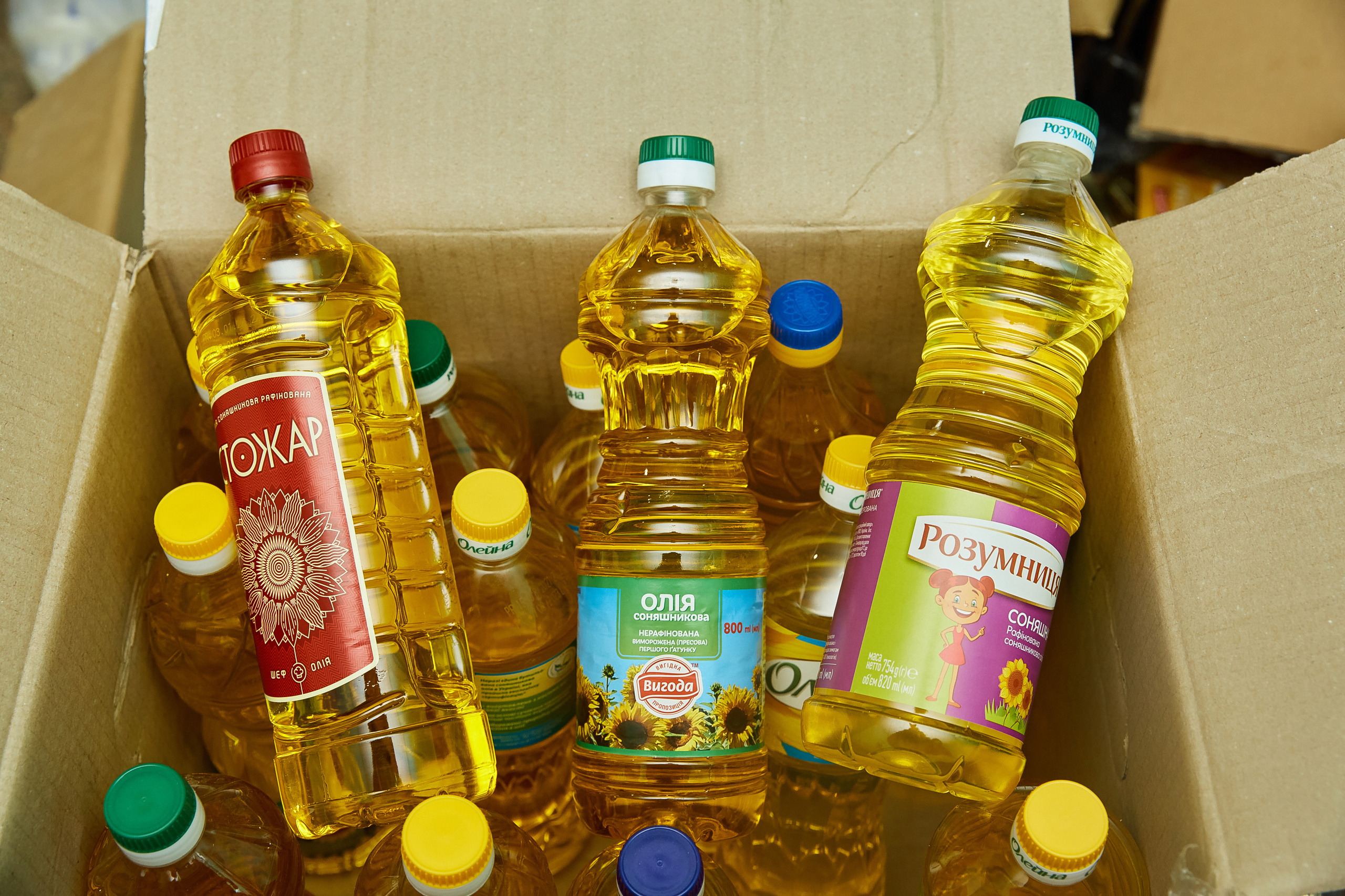 Волонтерський рух