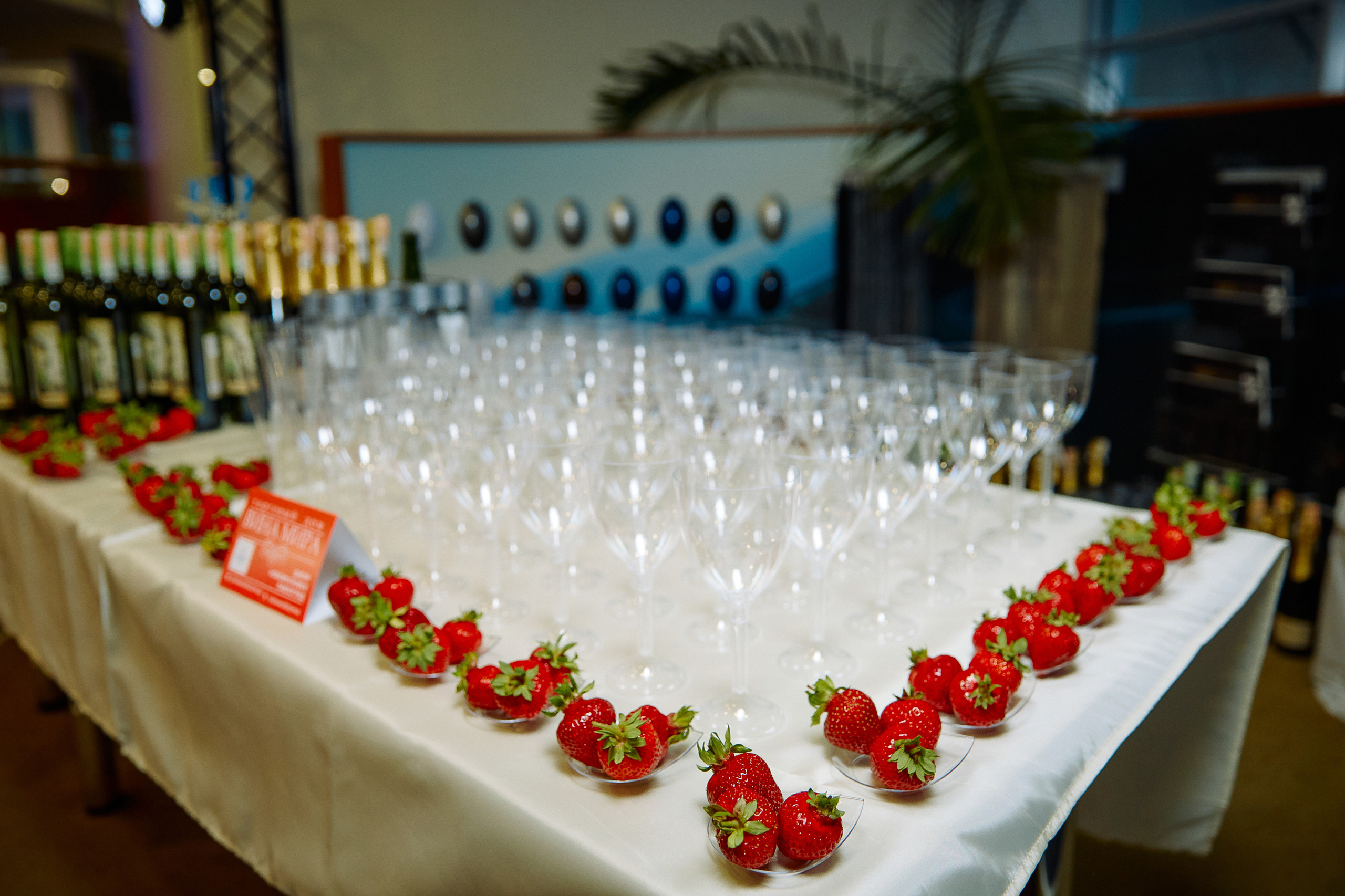 Репортажна зйомка(Дніпро) День нарождення модельної агенції The Models