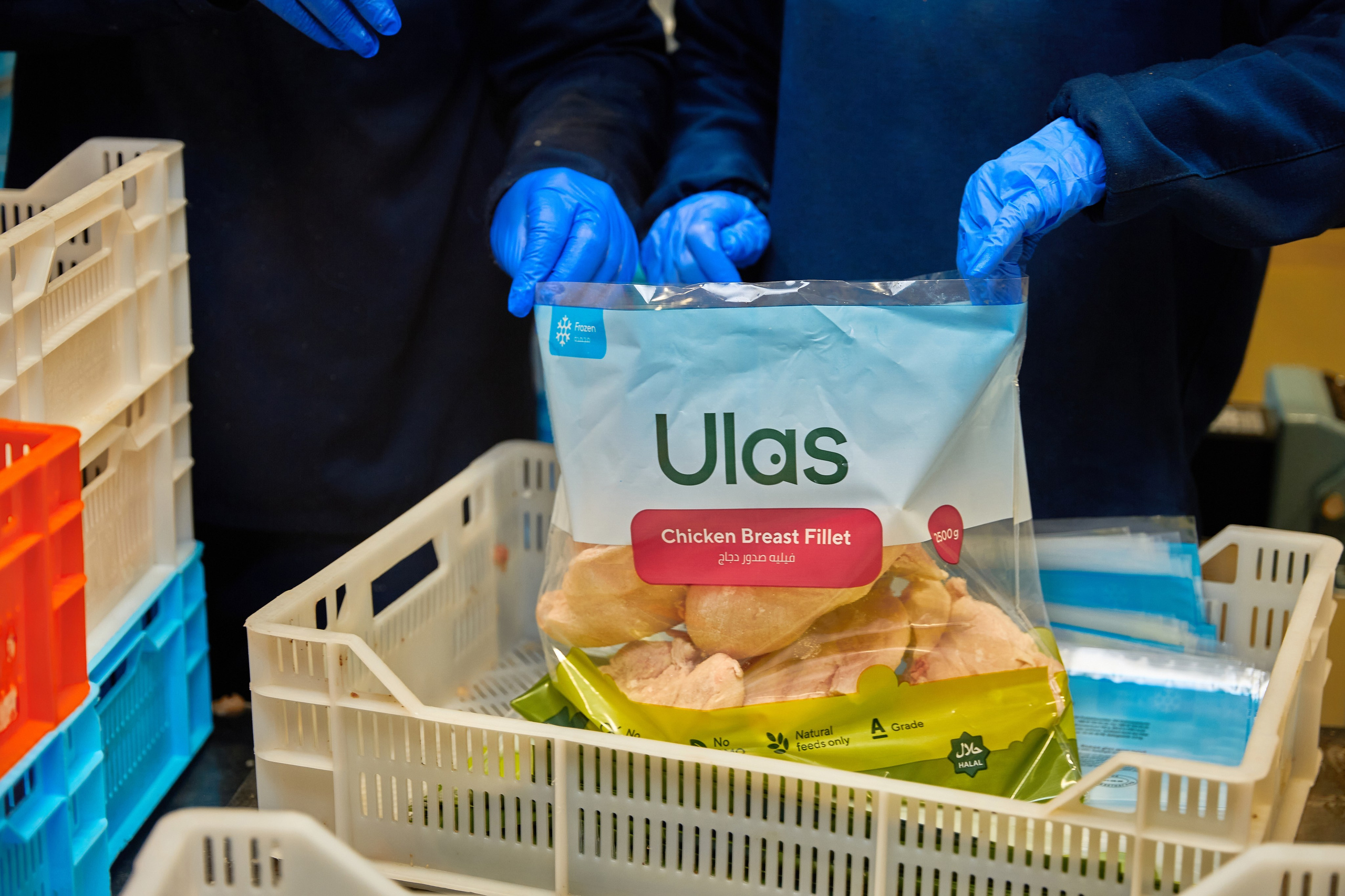 Комплексна фотосессія для товарів для AMAZONE