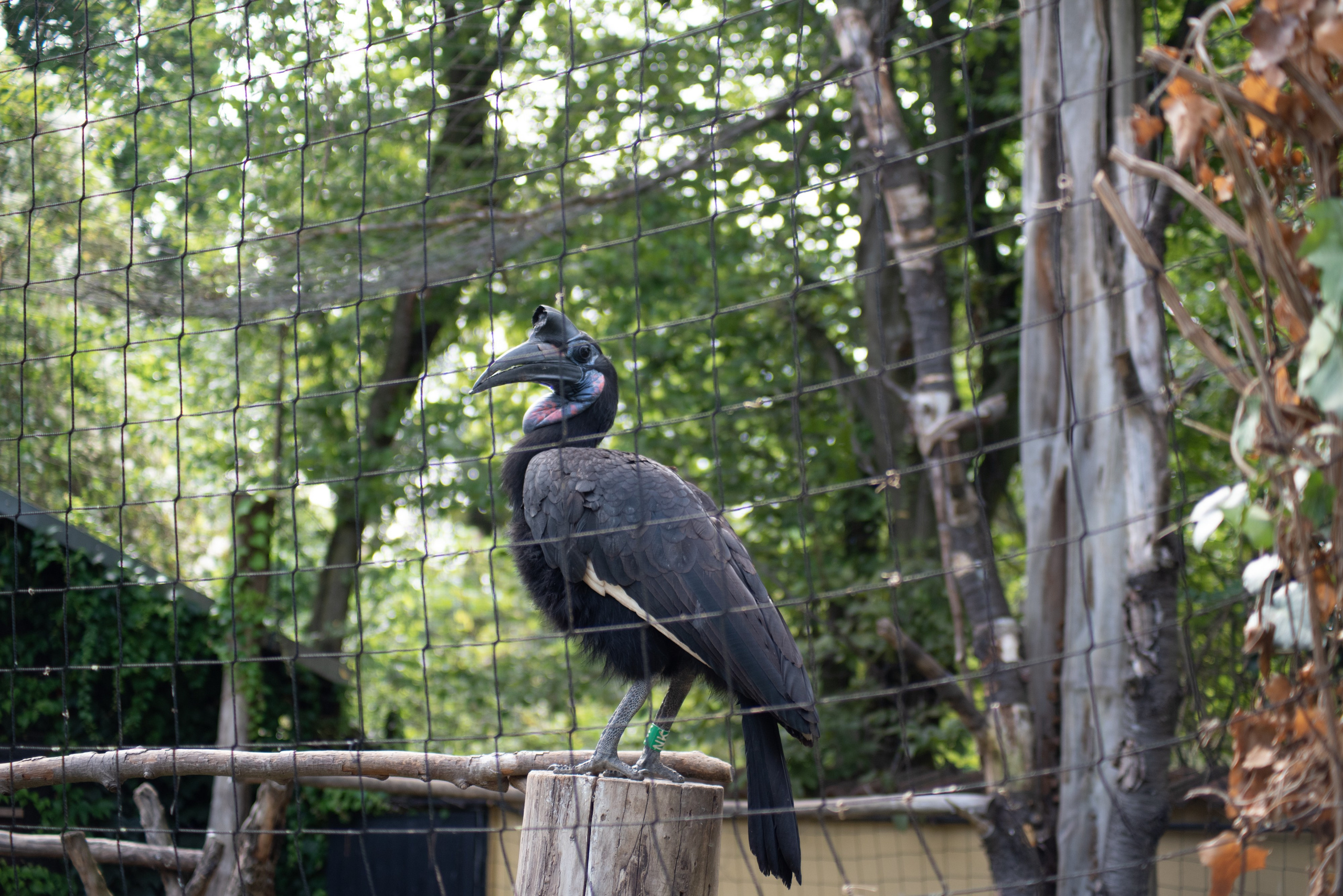 Zoo Heidelberg. Фотограф Анастасія Залужна | Манхайм