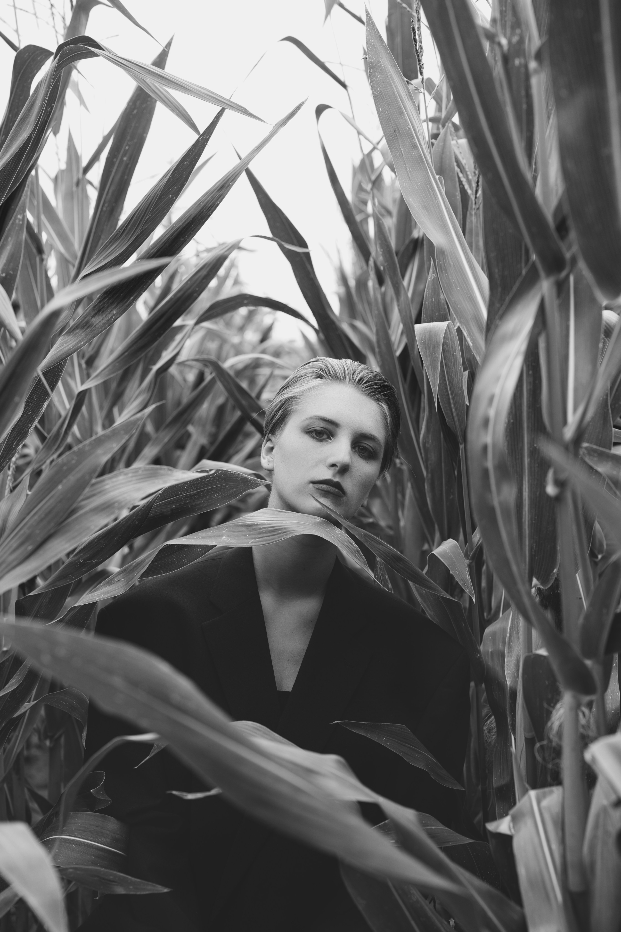 Фотосесія зі стільцем в полі. Фотограф Анастасія Залужна | Манхайм