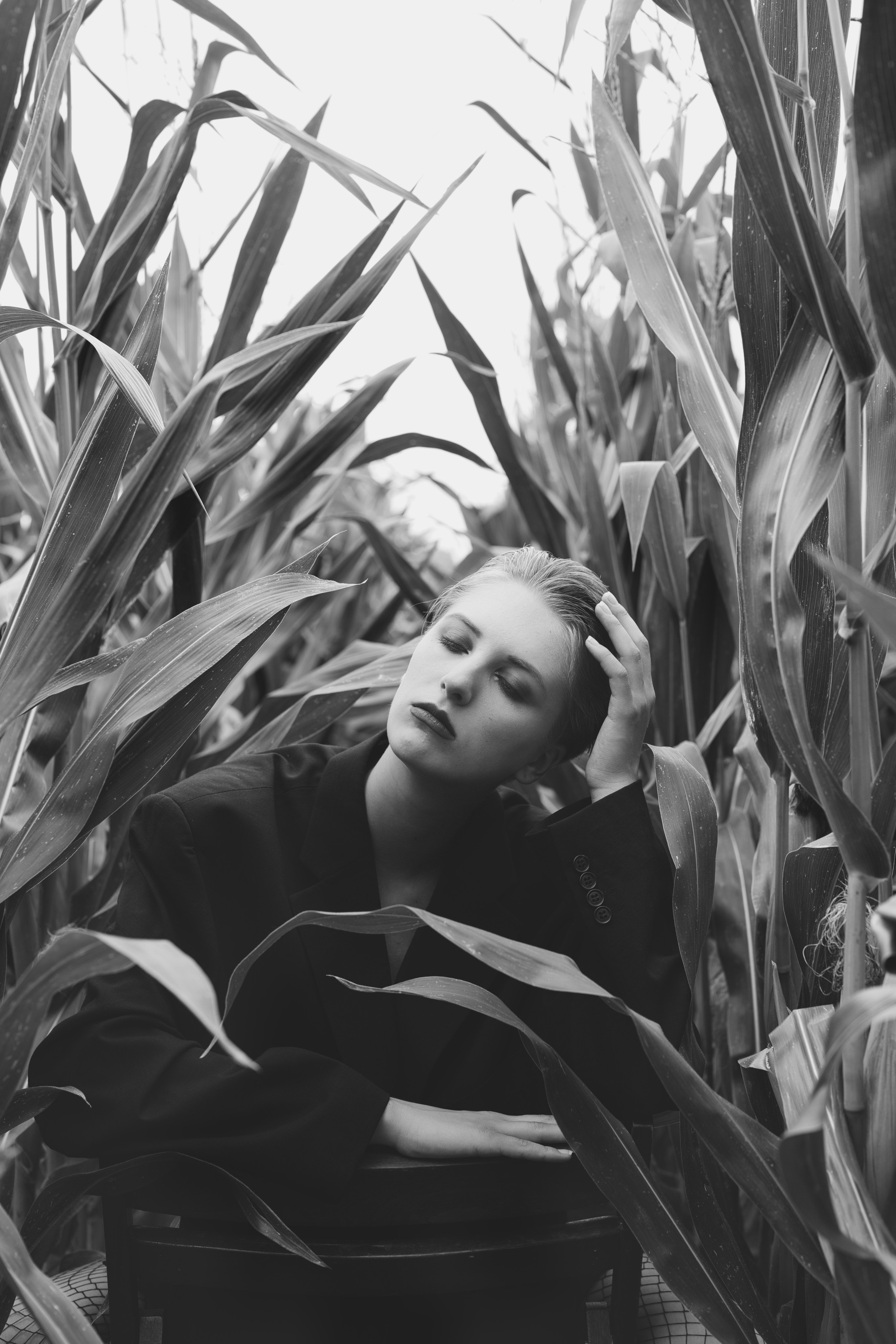 Фотосесія зі стільцем в полі. Фотограф Анастасія Залужна | Манхайм