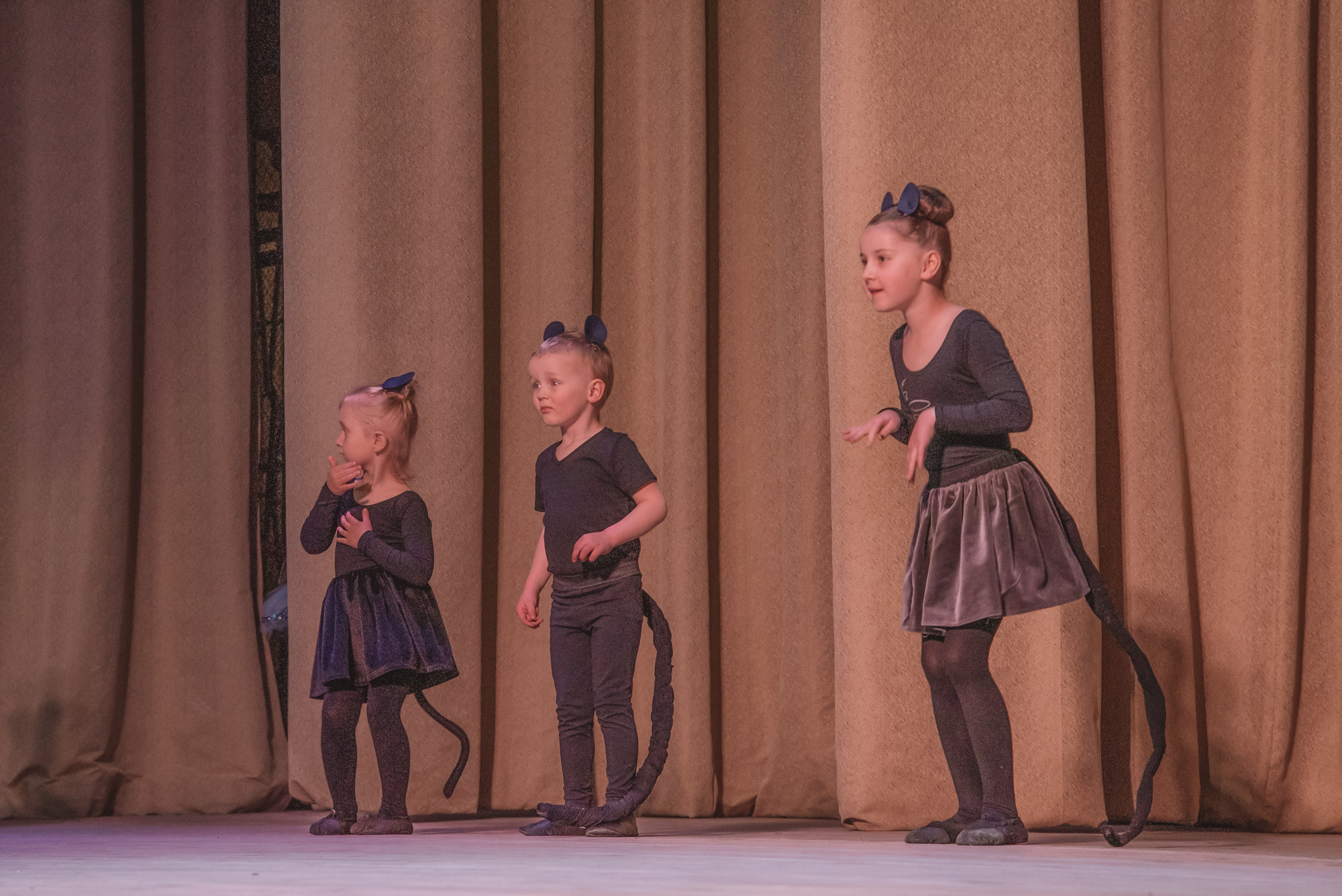 Зорі Житомира. Концерт. Фотограф Анастасія Залужна | Манхайм
