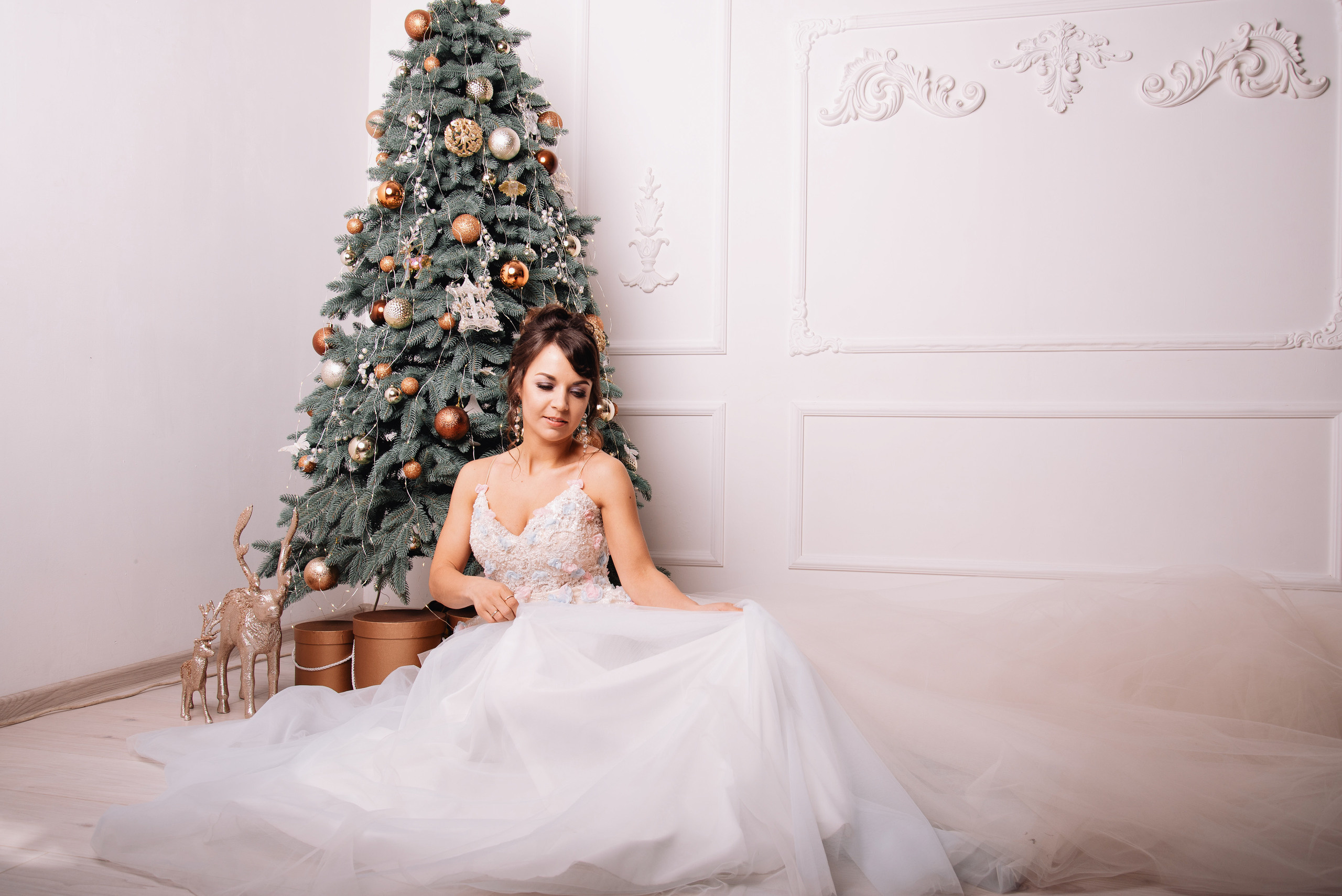 Новорічна фотосесія для Олени. Фотограф Анастасія Залужна | Манхайм
