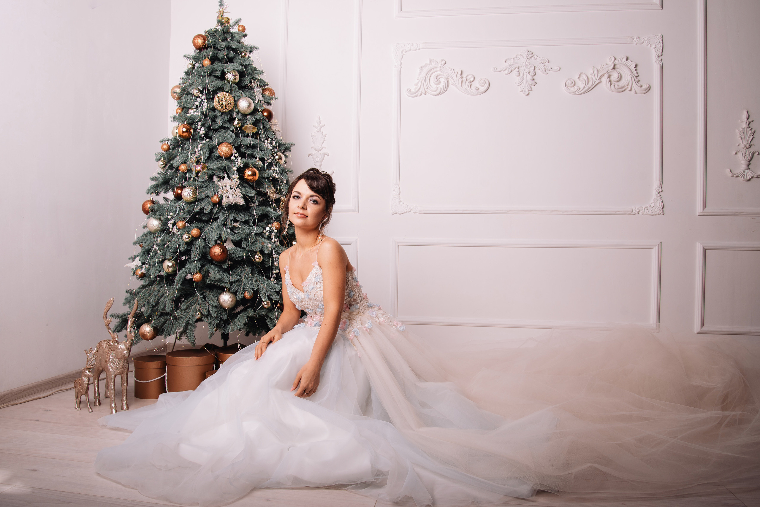 Новорічна фотосесія для Олени. Фотограф Анастасія Залужна | Манхайм