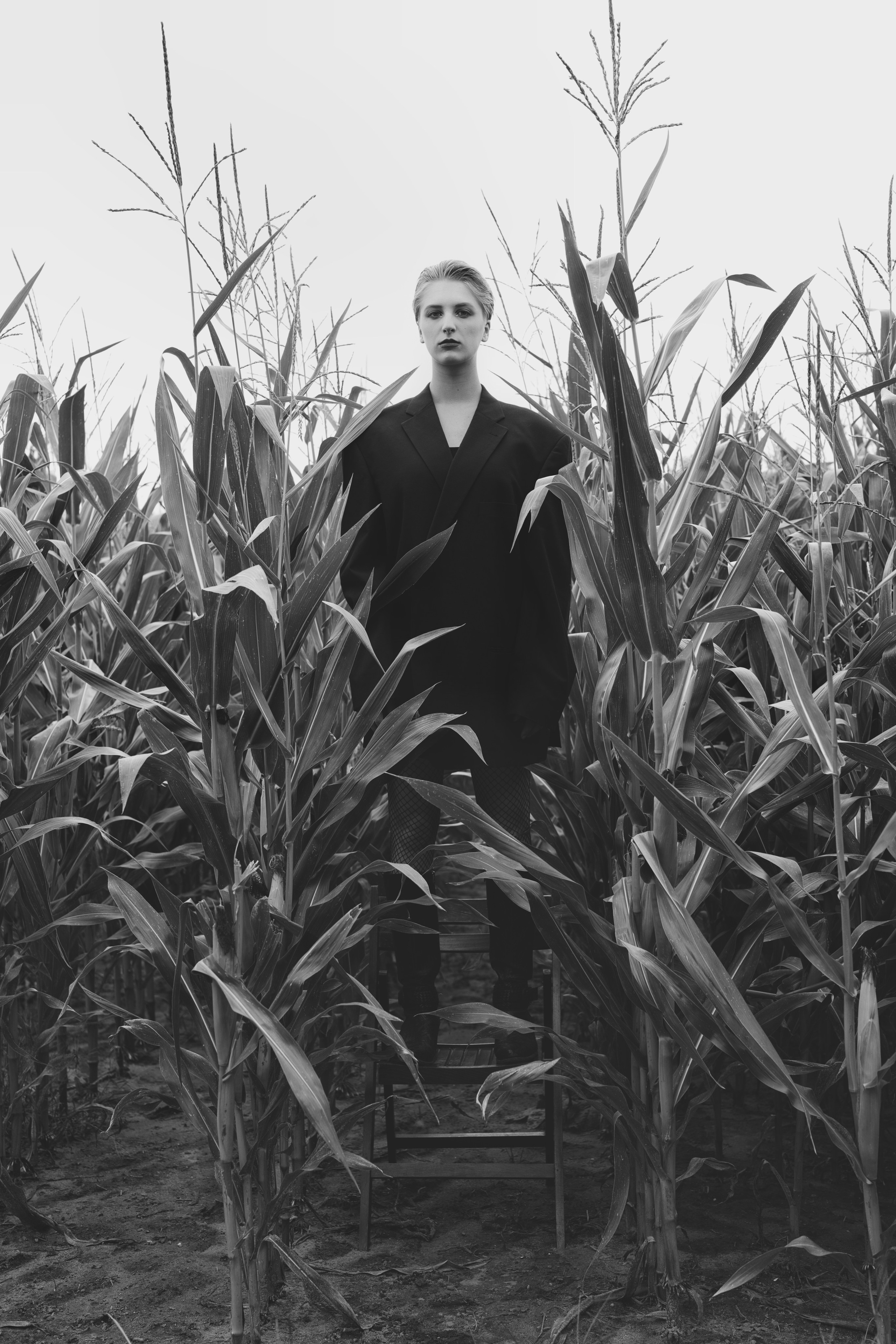 Фотосесія зі стільцем в полі. Фотограф Анастасія Залужна | Манхайм