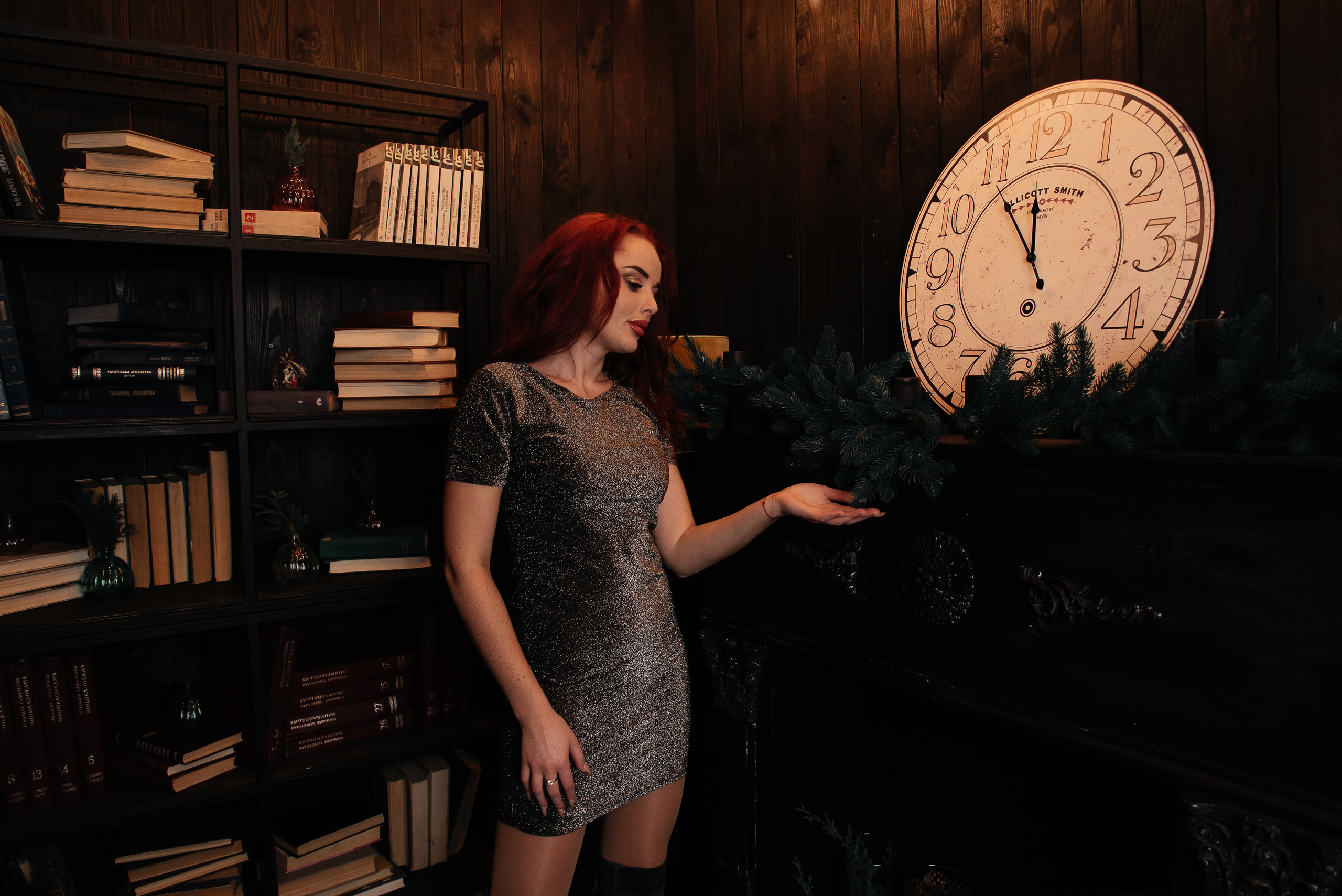 Новорічна фотосесія в студіі. Anastasiia Zaluzhna Fotografin | Mannheim