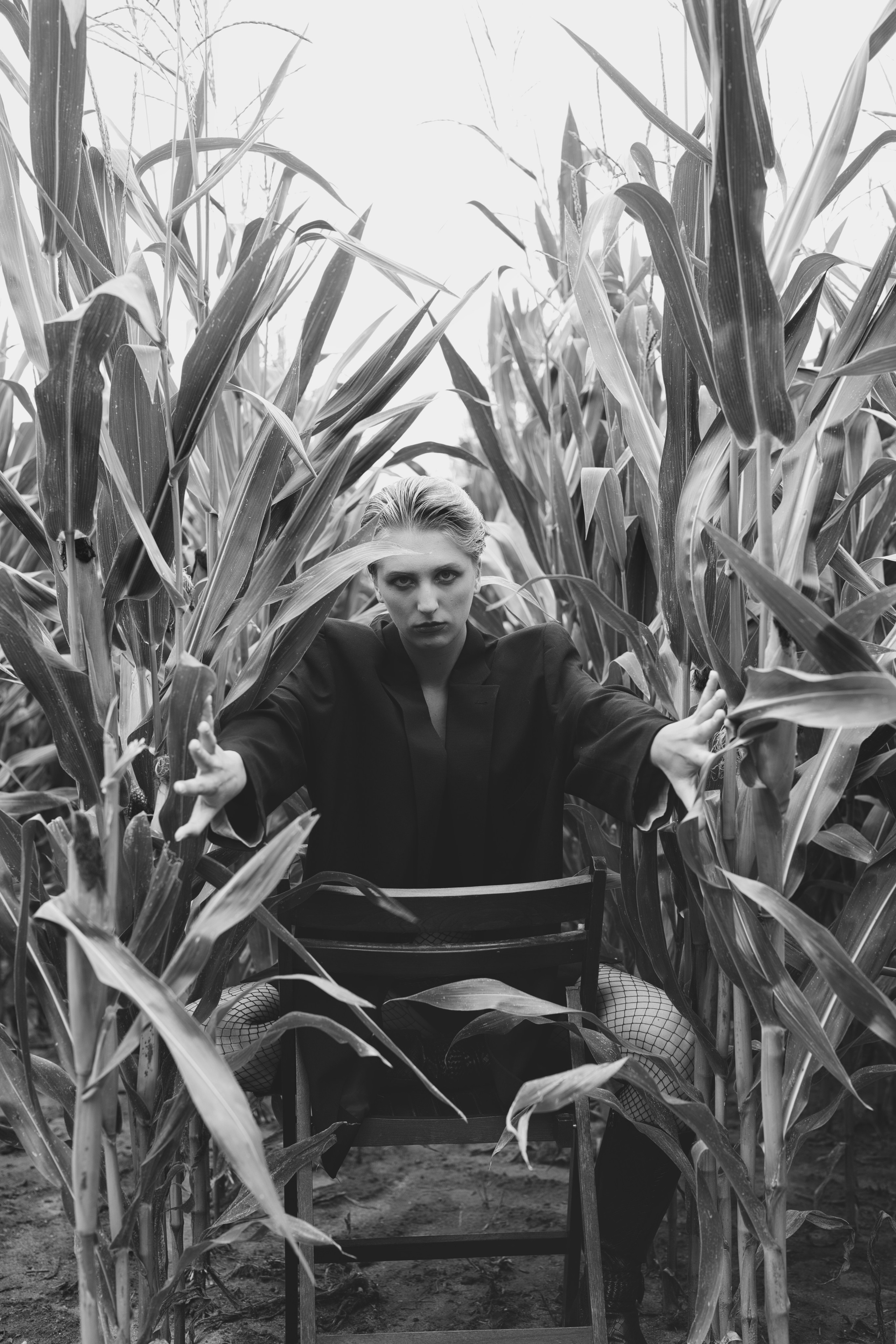 Фотосесія зі стільцем в полі. Фотограф Анастасія Залужна | Манхайм