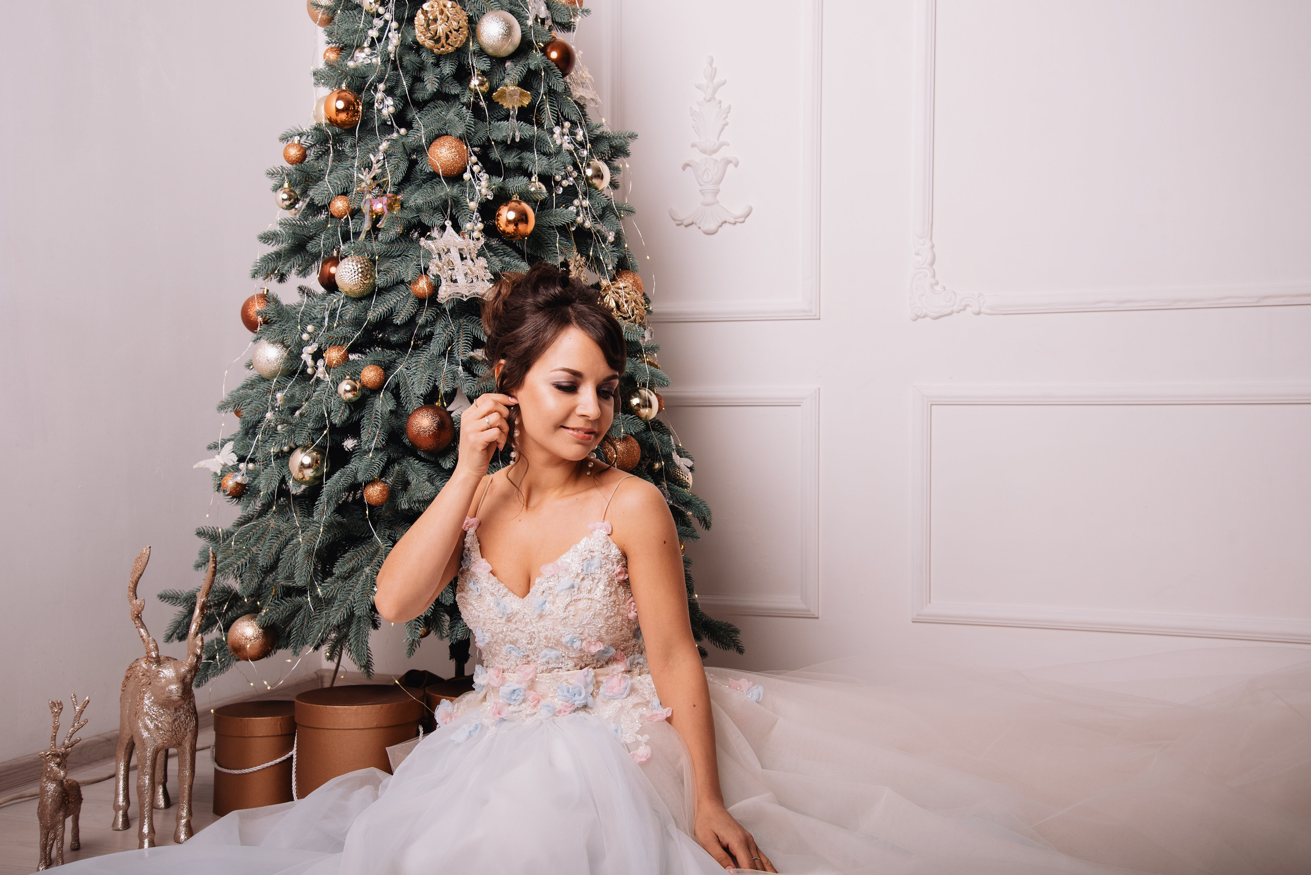 Новорічна фотосесія для Олени. Фотограф Анастасія Залужна | Манхайм