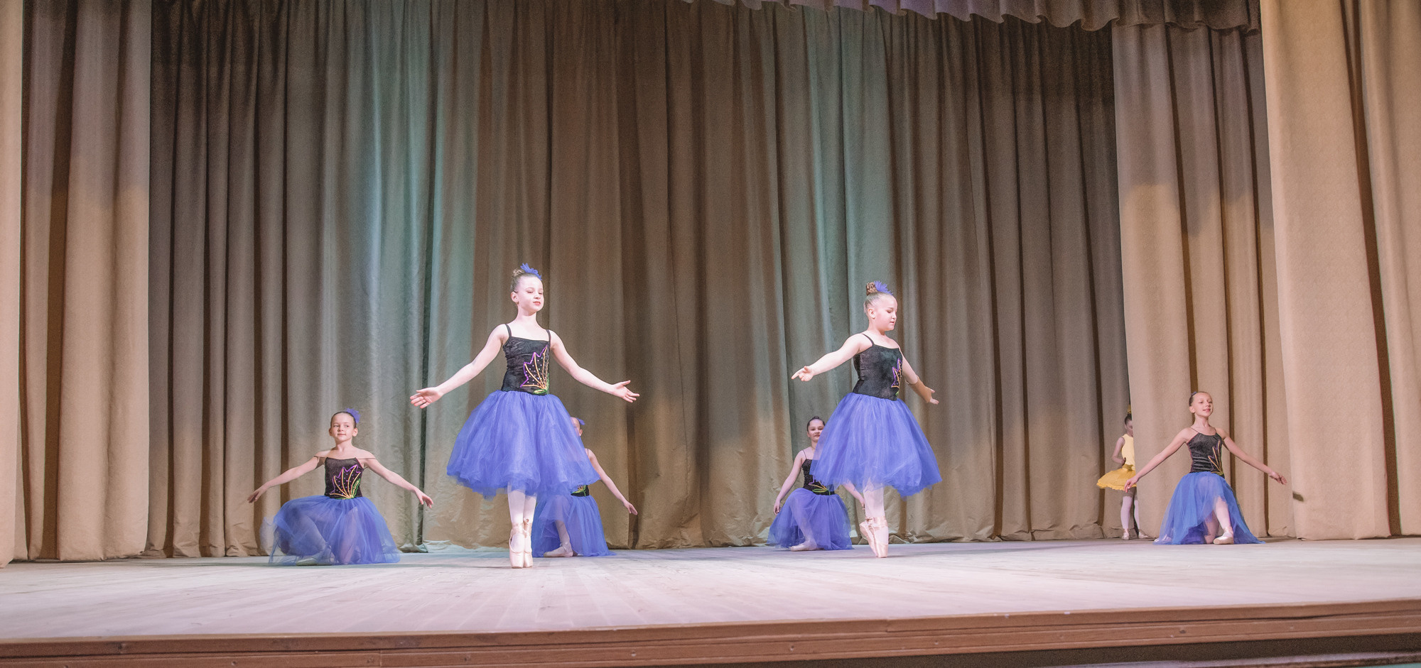 Зорі Житомира. Концерт. Фотограф Анастасія Залужна | Манхайм