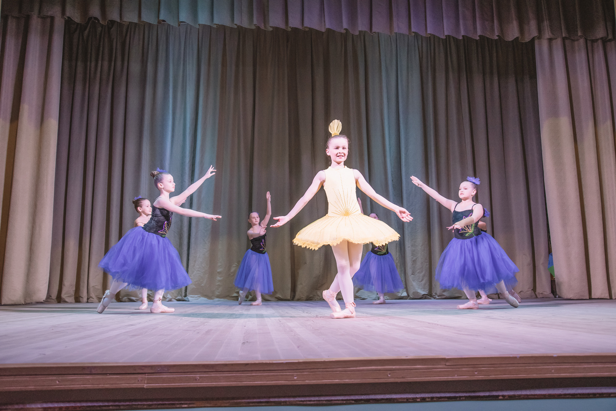 Зорі Житомира. Концерт. Фотограф Анастасія Залужна | Манхайм