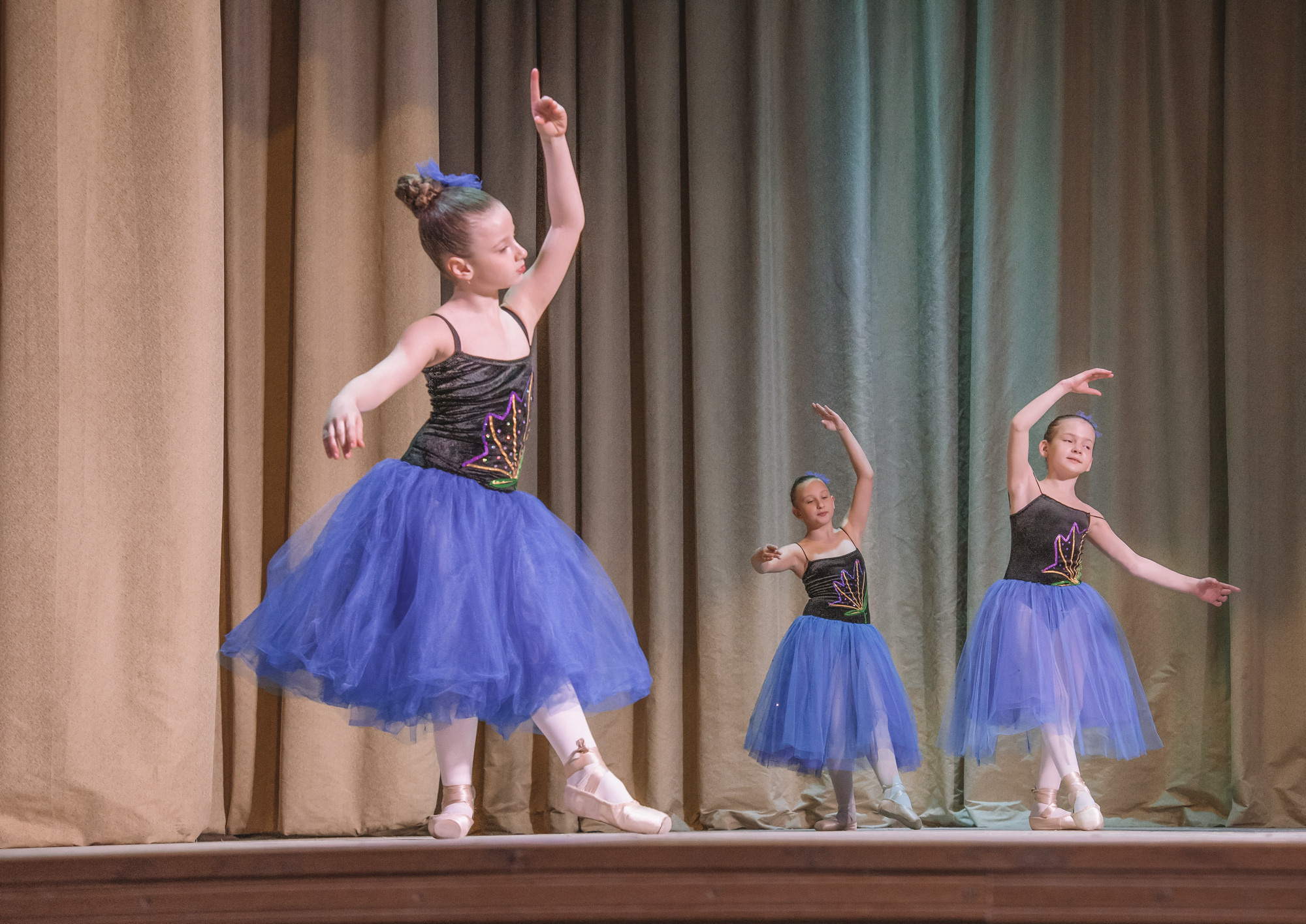 Зорі Житомира. Концерт. Фотограф Анастасія Залужна | Манхайм