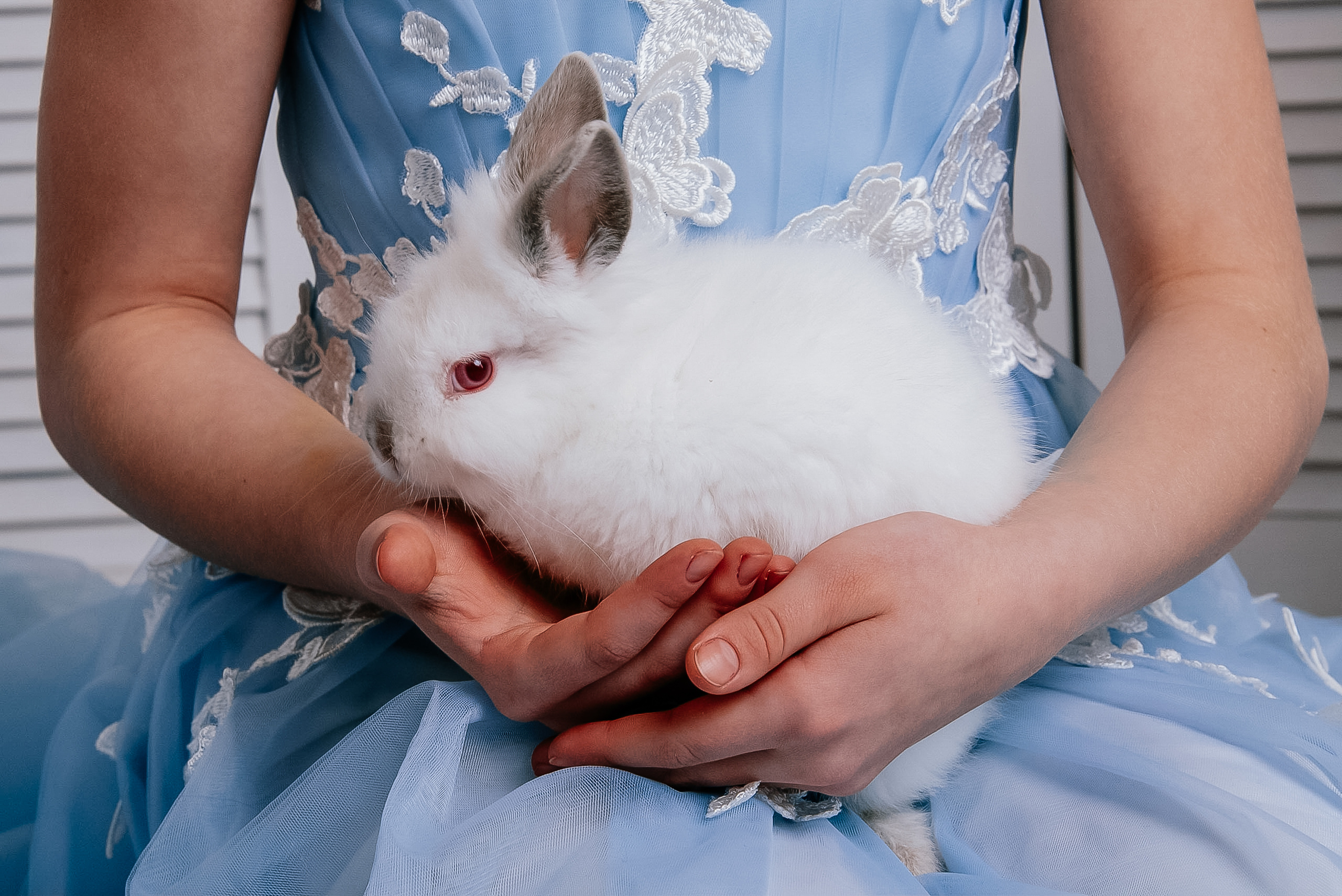 Наташа, Злата та Мія. Anastasiia Zaluzhna Fotografin | Mannheim