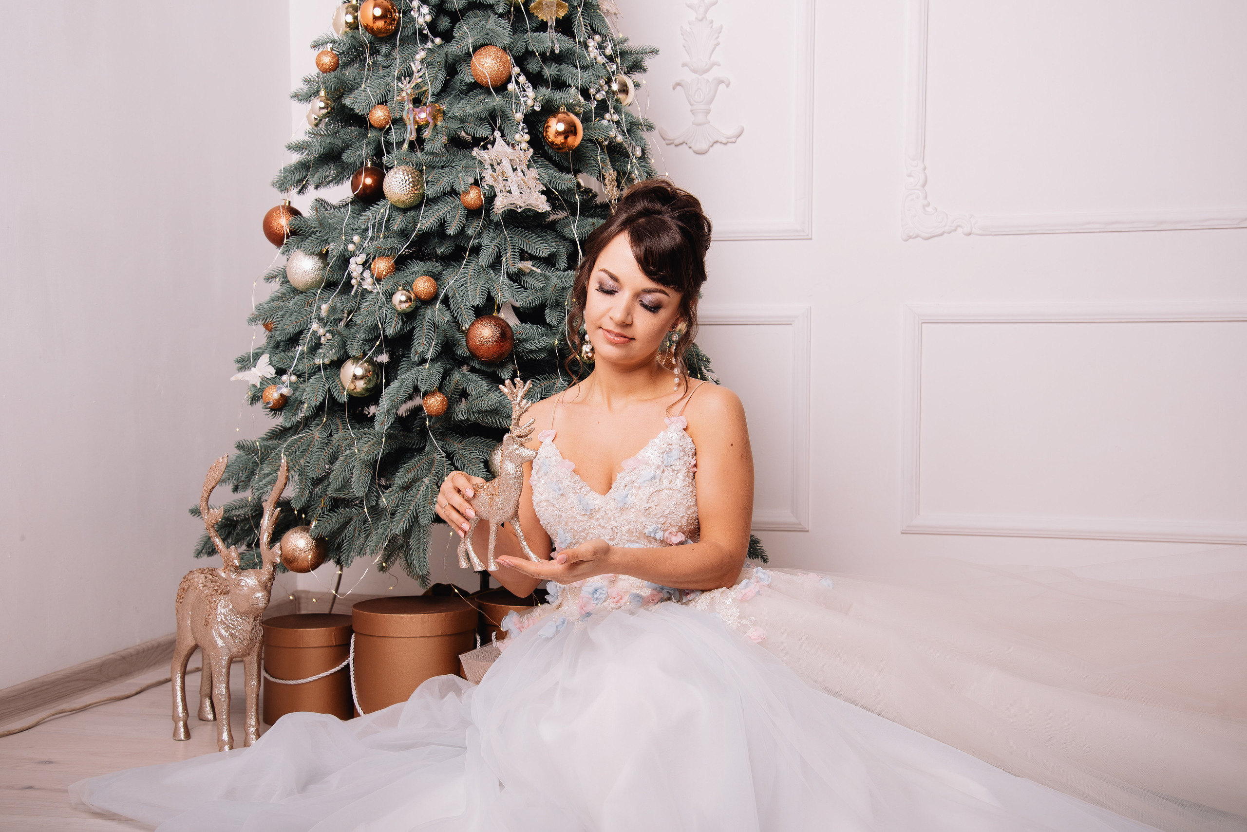 Новорічна фотосесія для Олени. Фотограф Анастасія Залужна | Манхайм