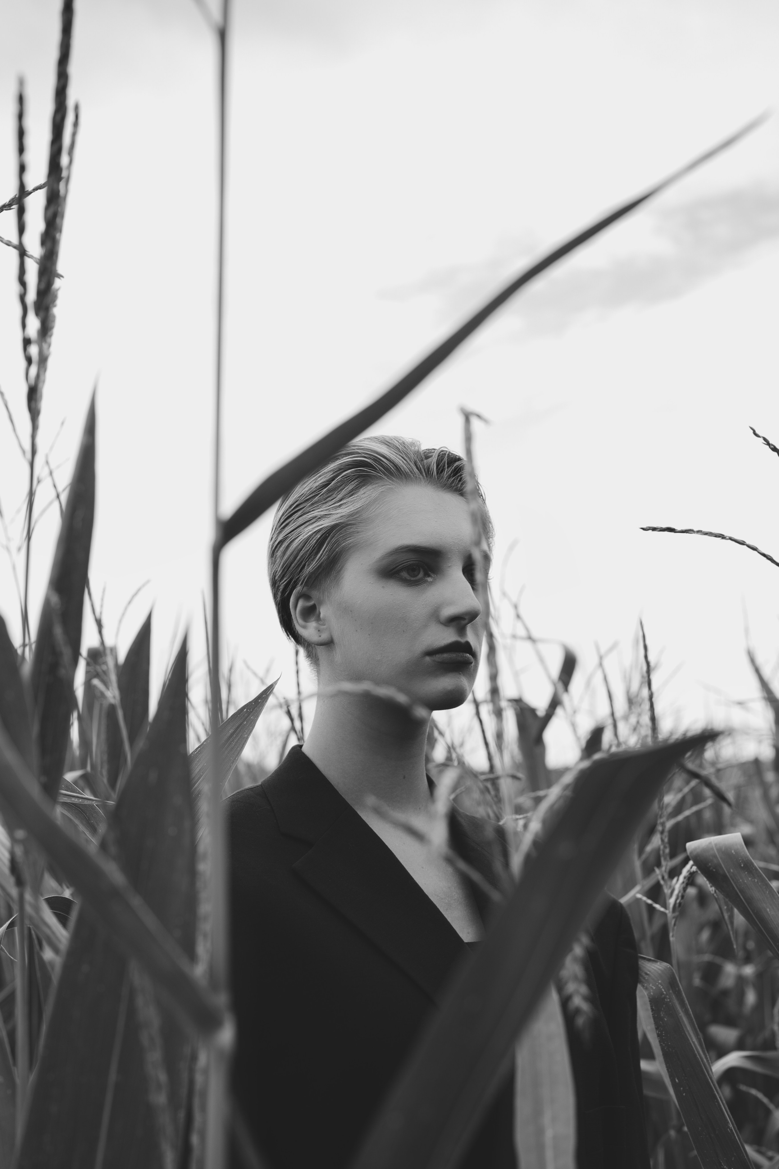 Фотосесія зі стільцем в полі. Фотограф Анастасія Залужна | Манхайм