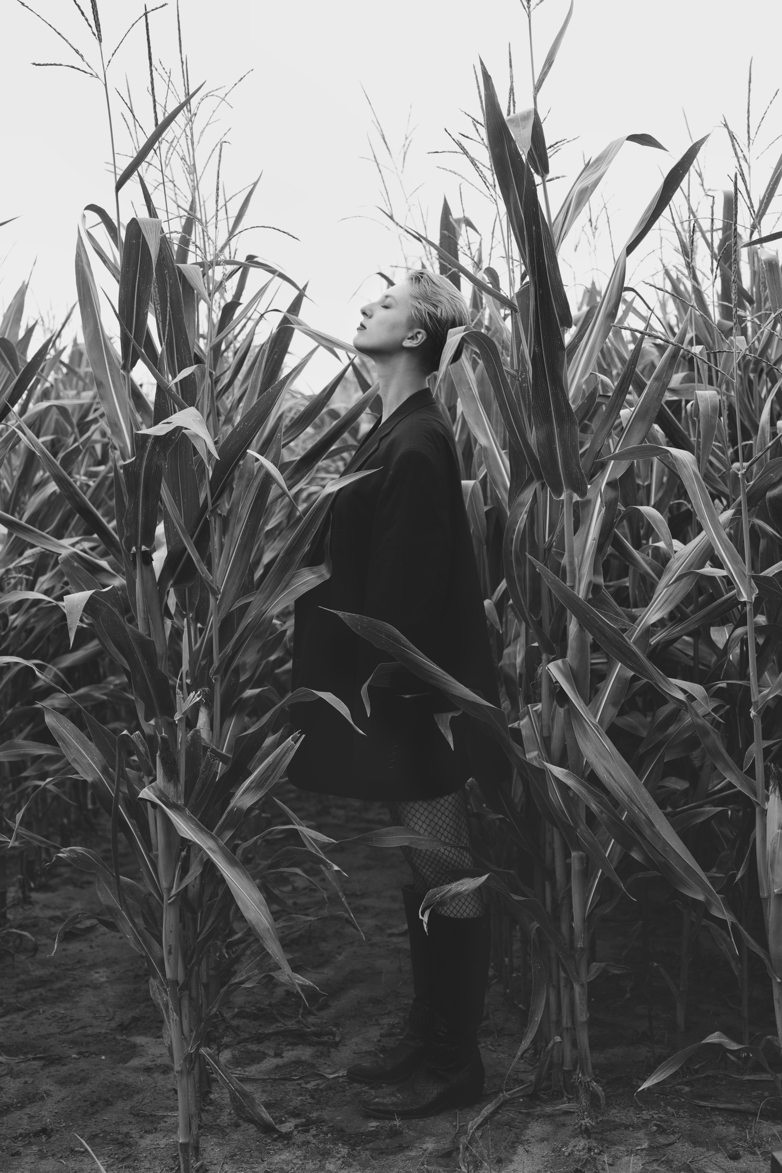 Фотосесія зі стільцем в полі. Фотограф Анастасія Залужна | Манхайм