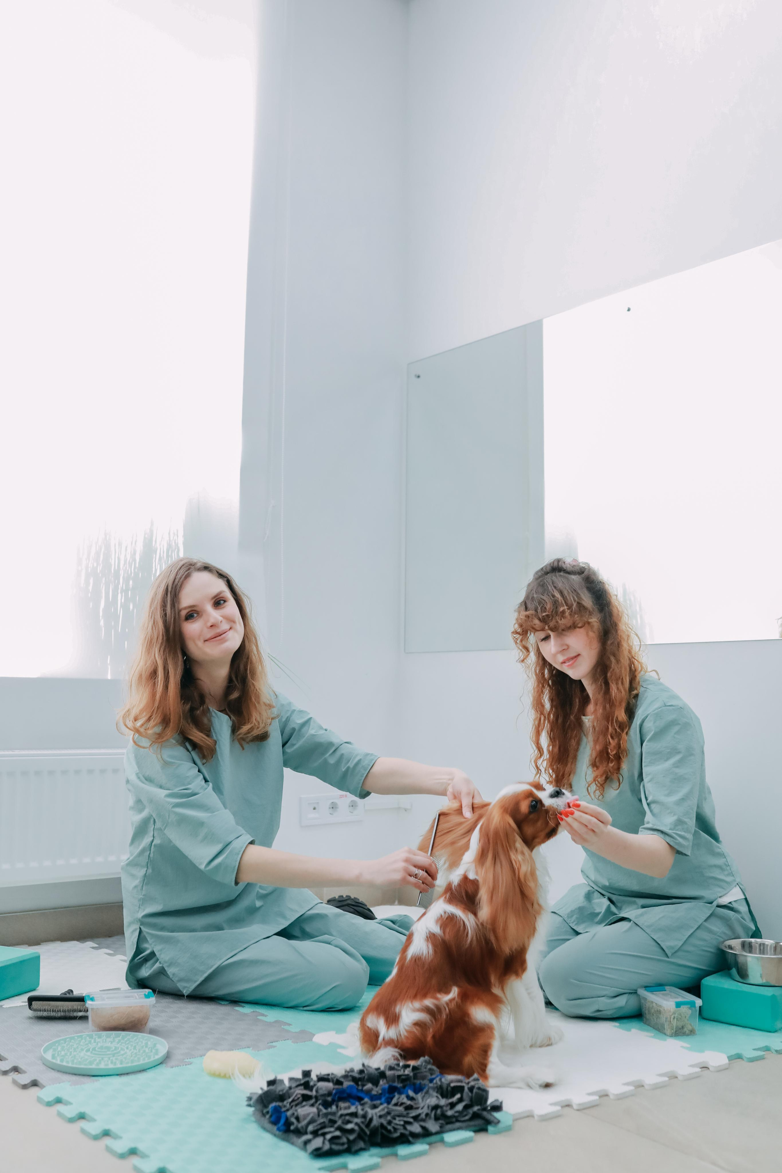 Hvist Hab. Фотограф-анімаліст Київ