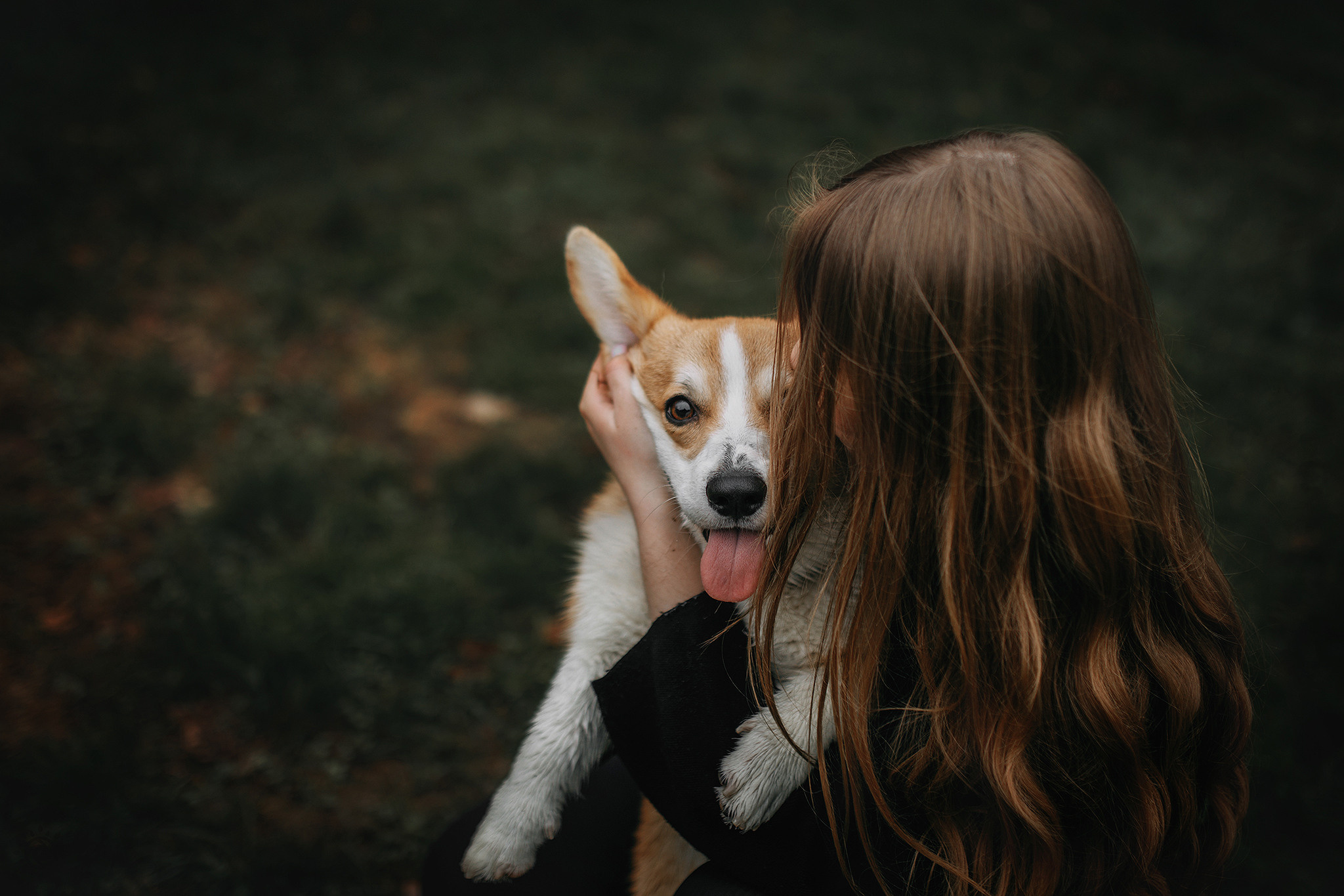 Родина Оскара. Фотограф-анімаліст Київ
