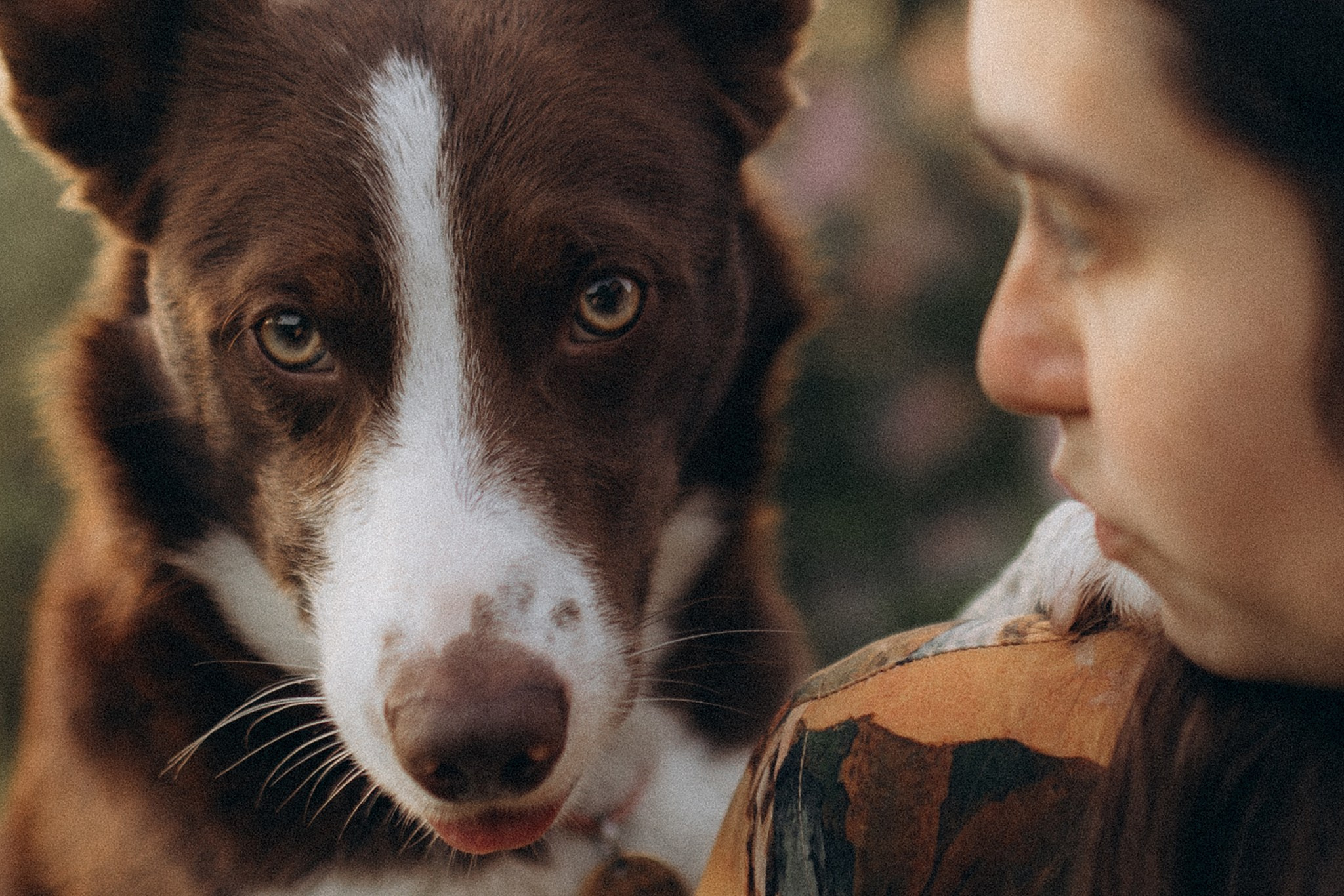 Лінч з Ма. Фотограф-анімаліст Київ