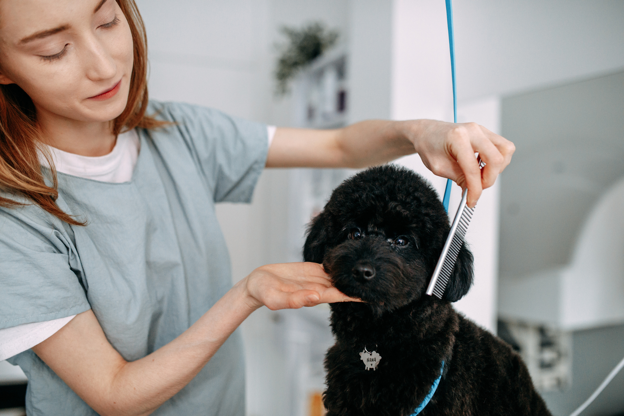 Hvist Hab. Фотограф-анімаліст Київ