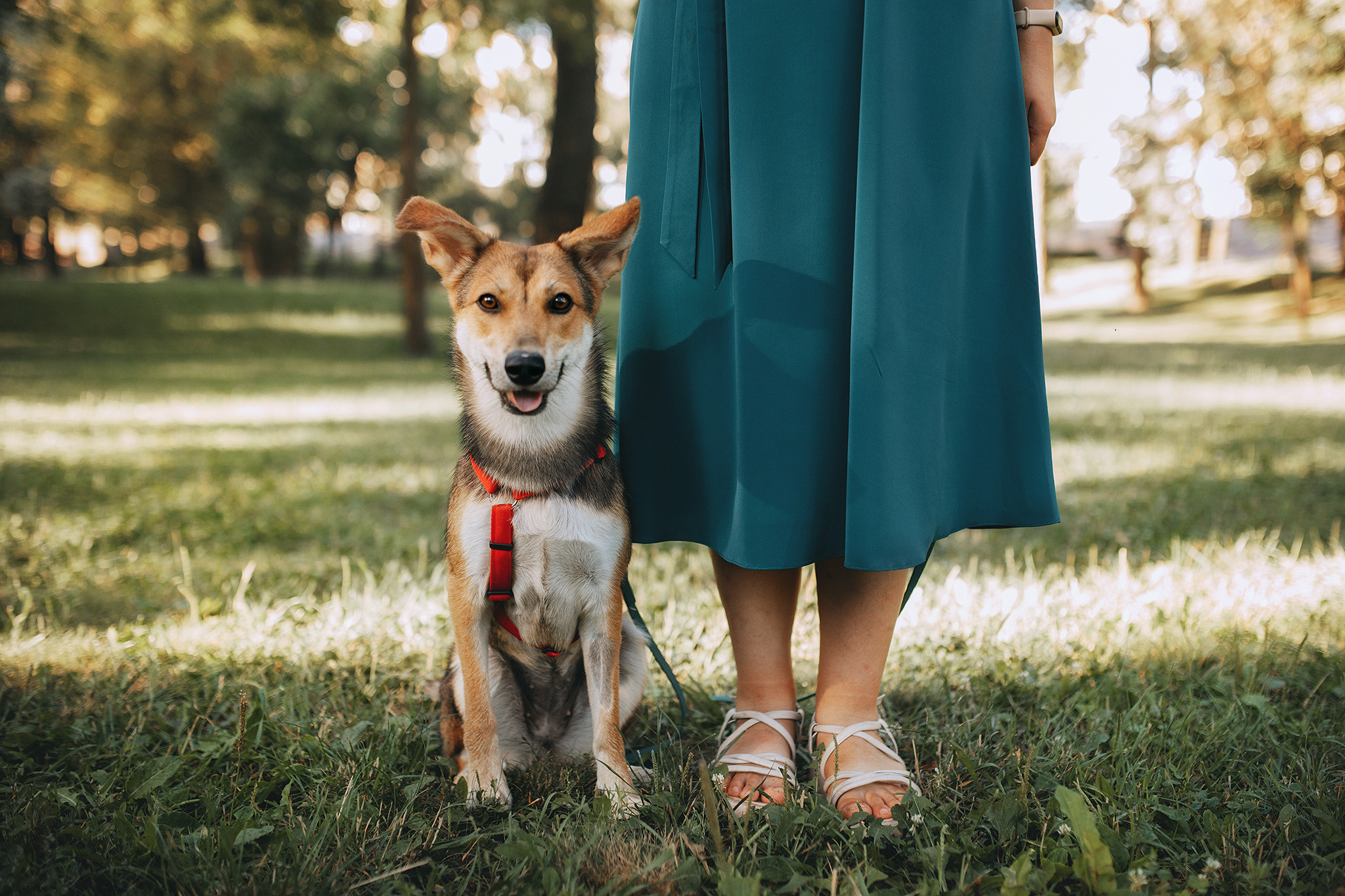Родина Щастя. Фотограф-анімаліст Київ