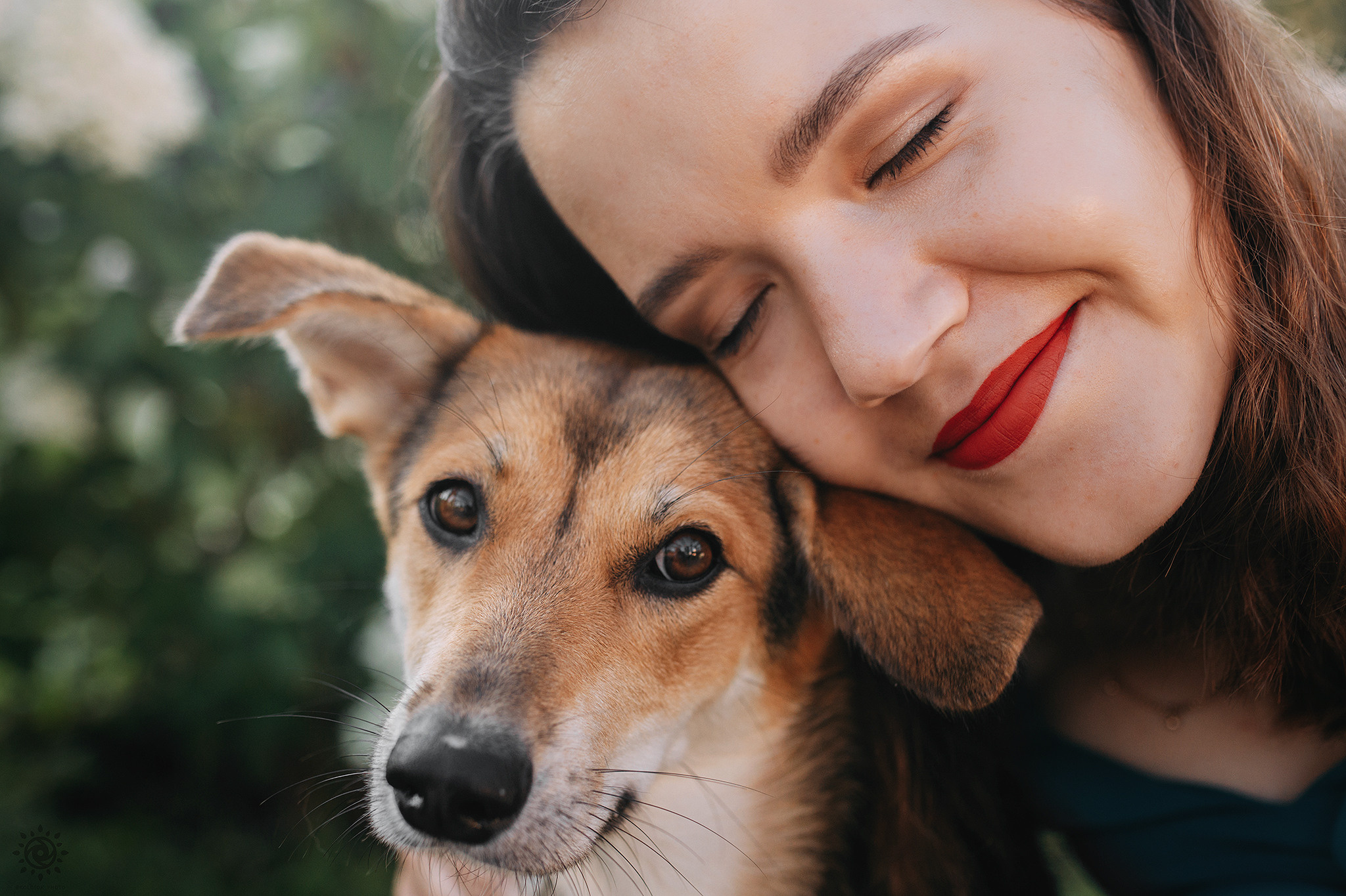 Родина Щастя. Фотограф-анімаліст Київ