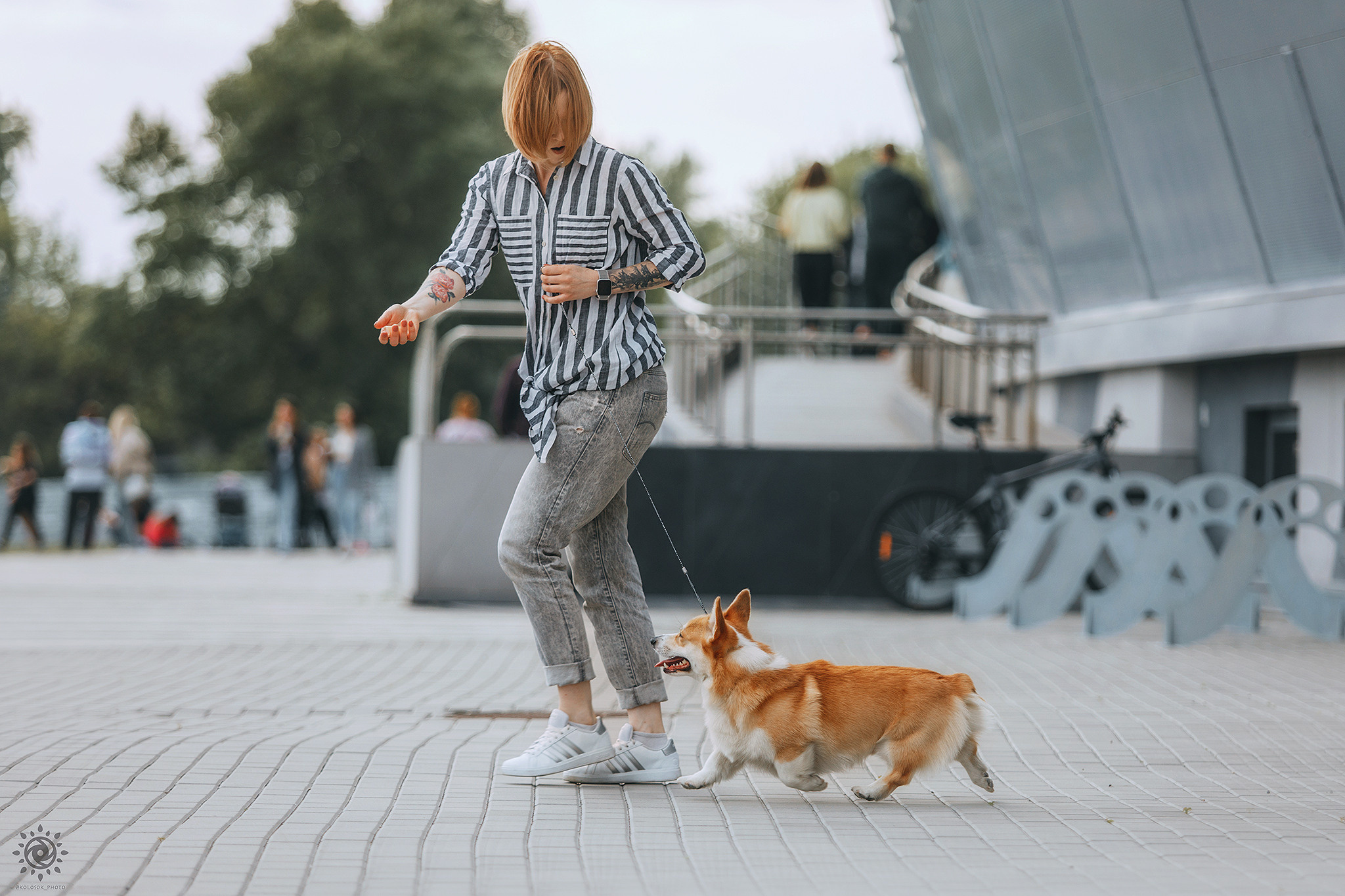 Вінні. Фотограф-анімаліст Київ
