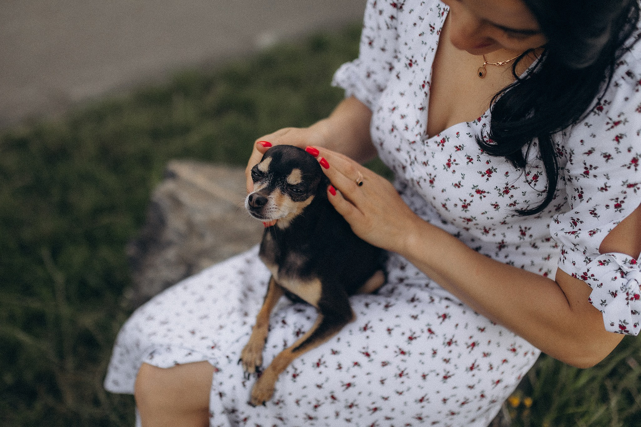 Чівас і Таня. Фотограф-анімаліст Київ