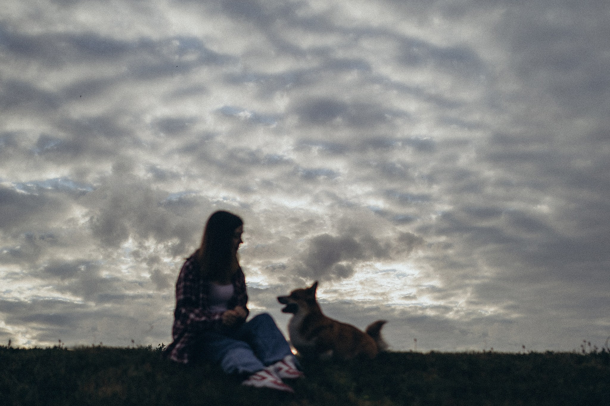 Руді та Ксюша. Фотограф-анімаліст Київ